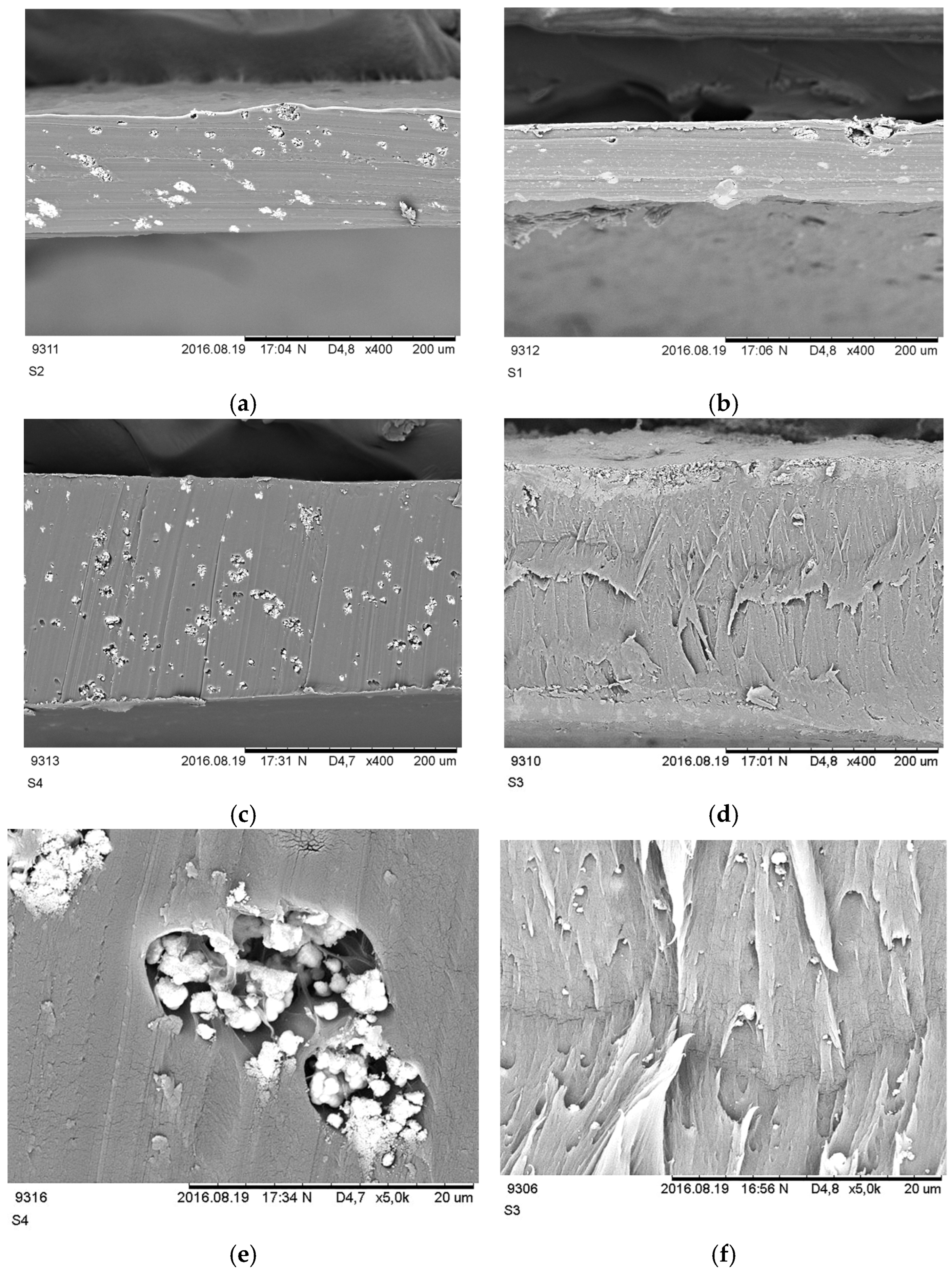 Nanomaterials 16 00027 g004