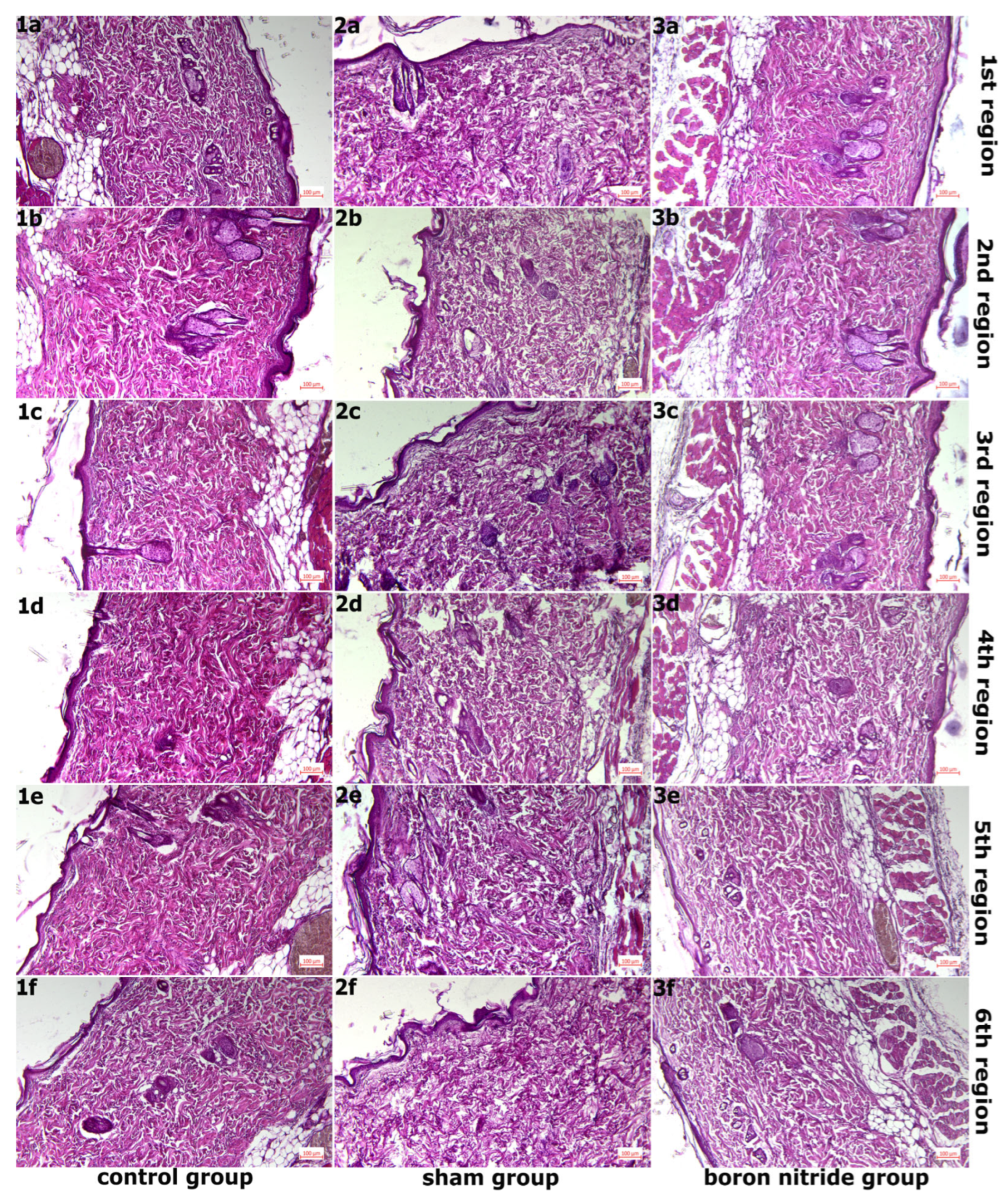 Nanomaterials 16 00029 g001