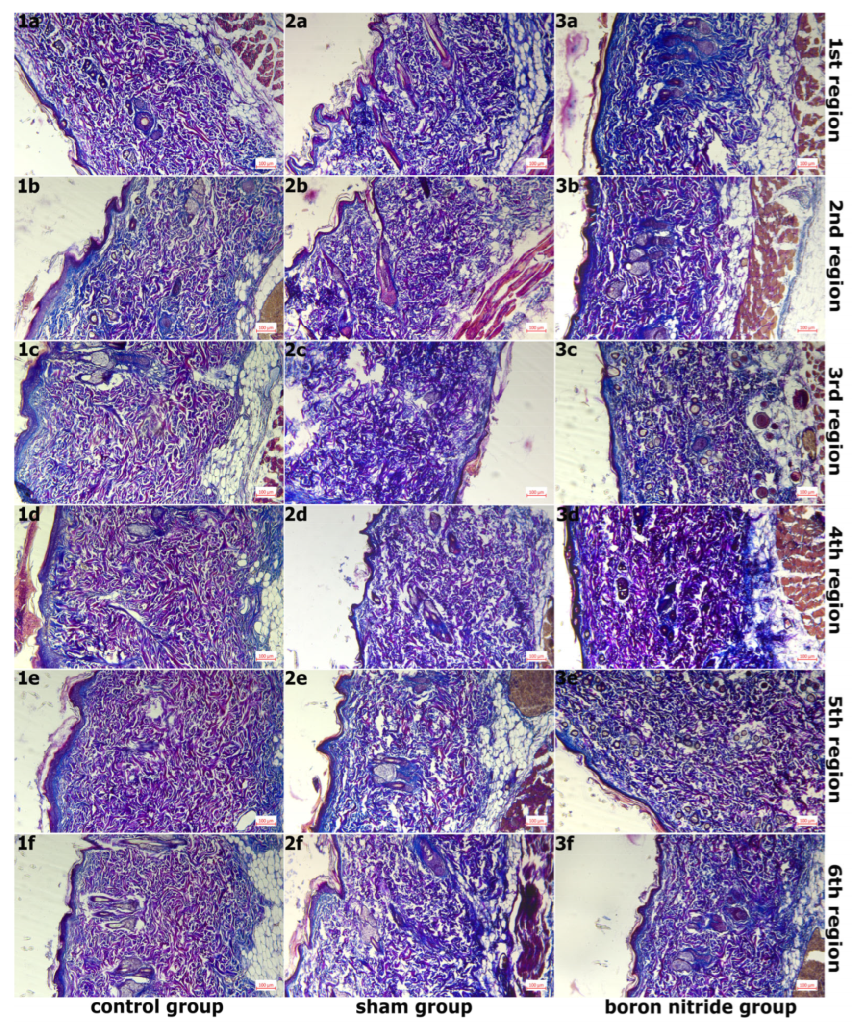 Nanomaterials 16 00029 g002