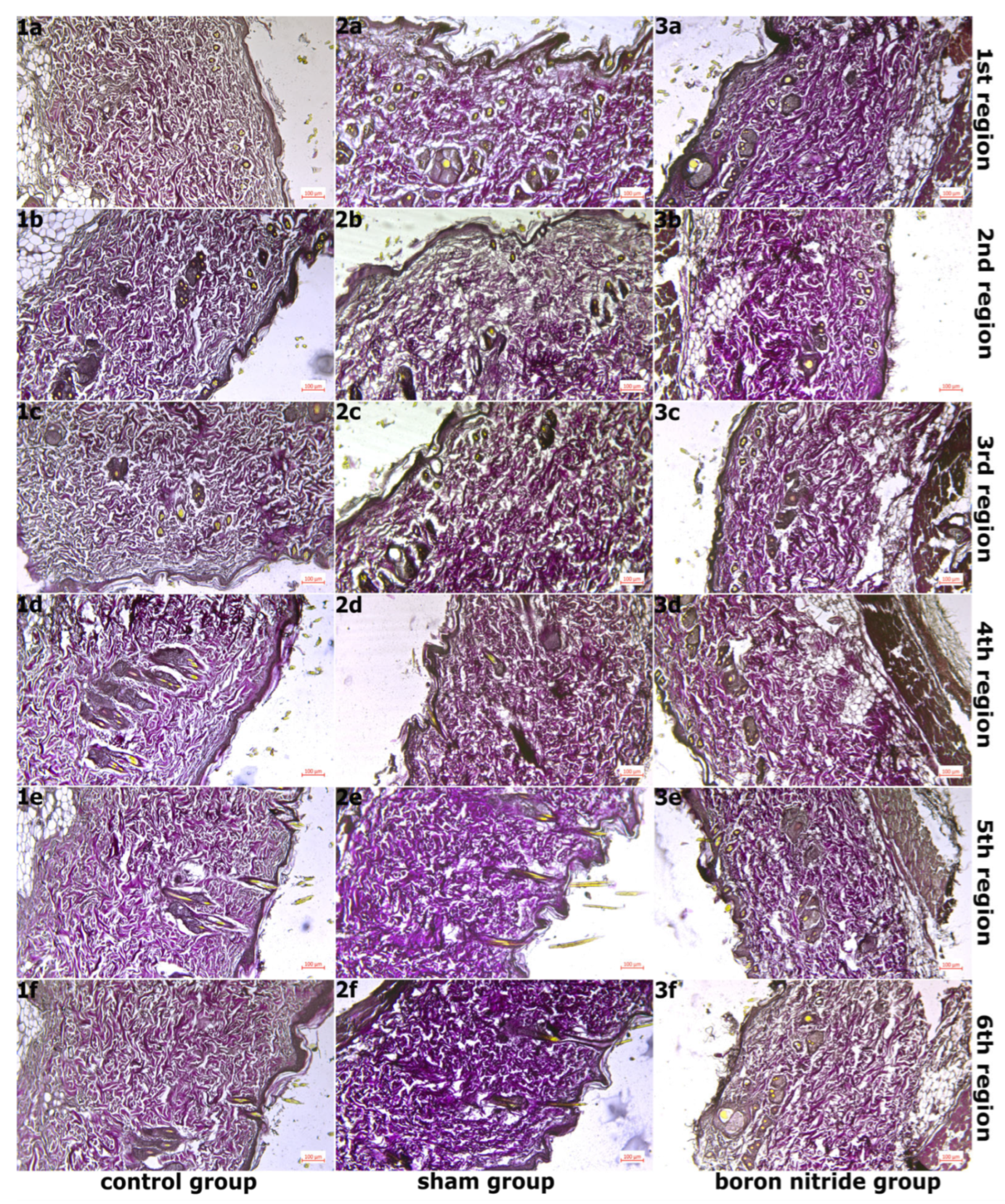 Nanomaterials 16 00029 g003