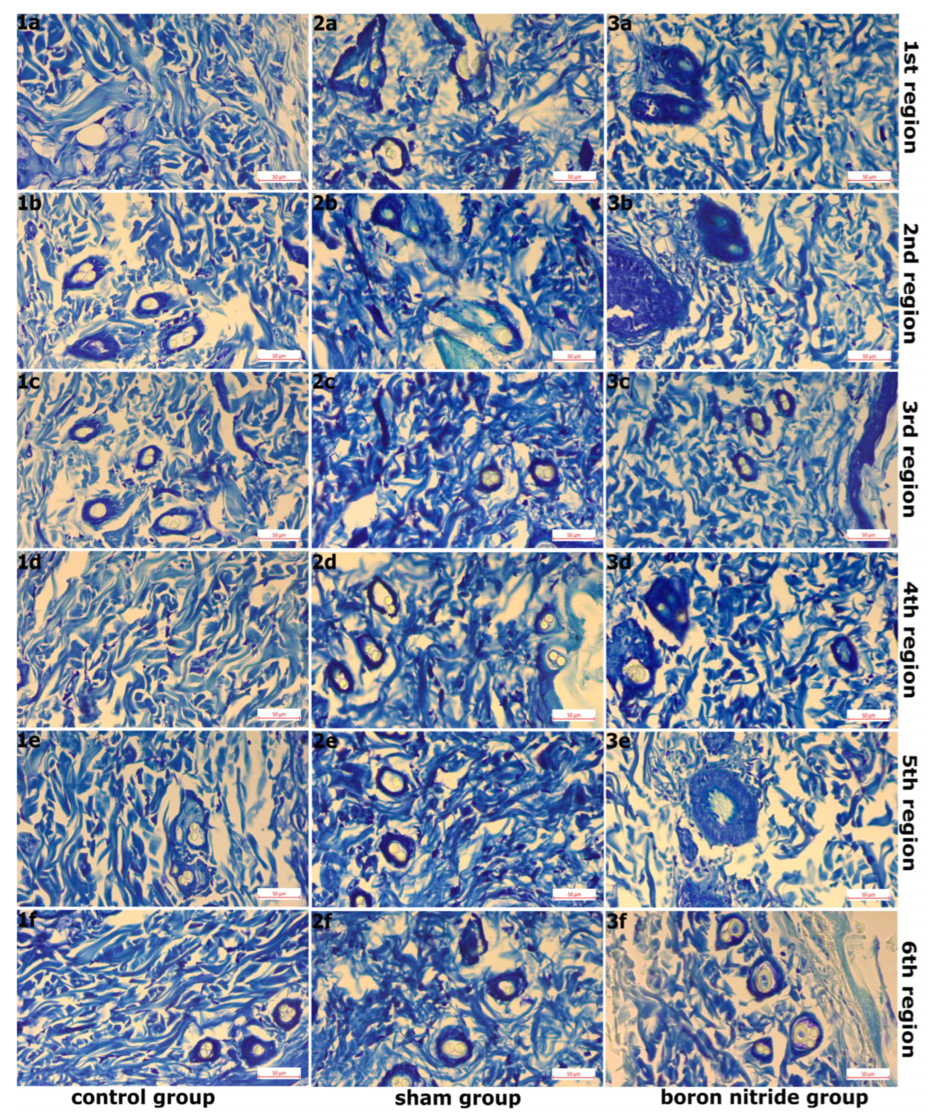 Nanomaterials 16 00029 g004