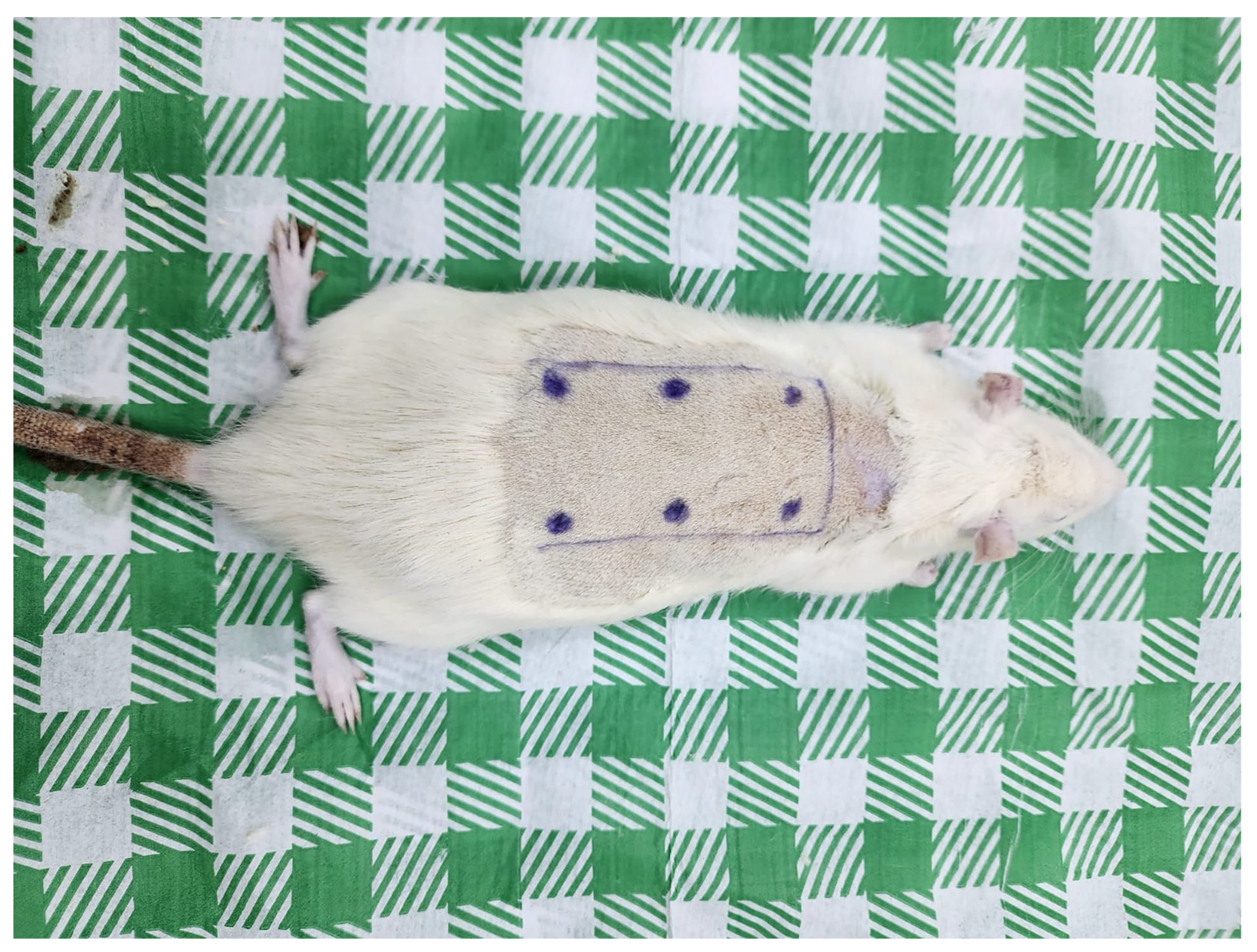 Nanomaterials 16 00029 sch001