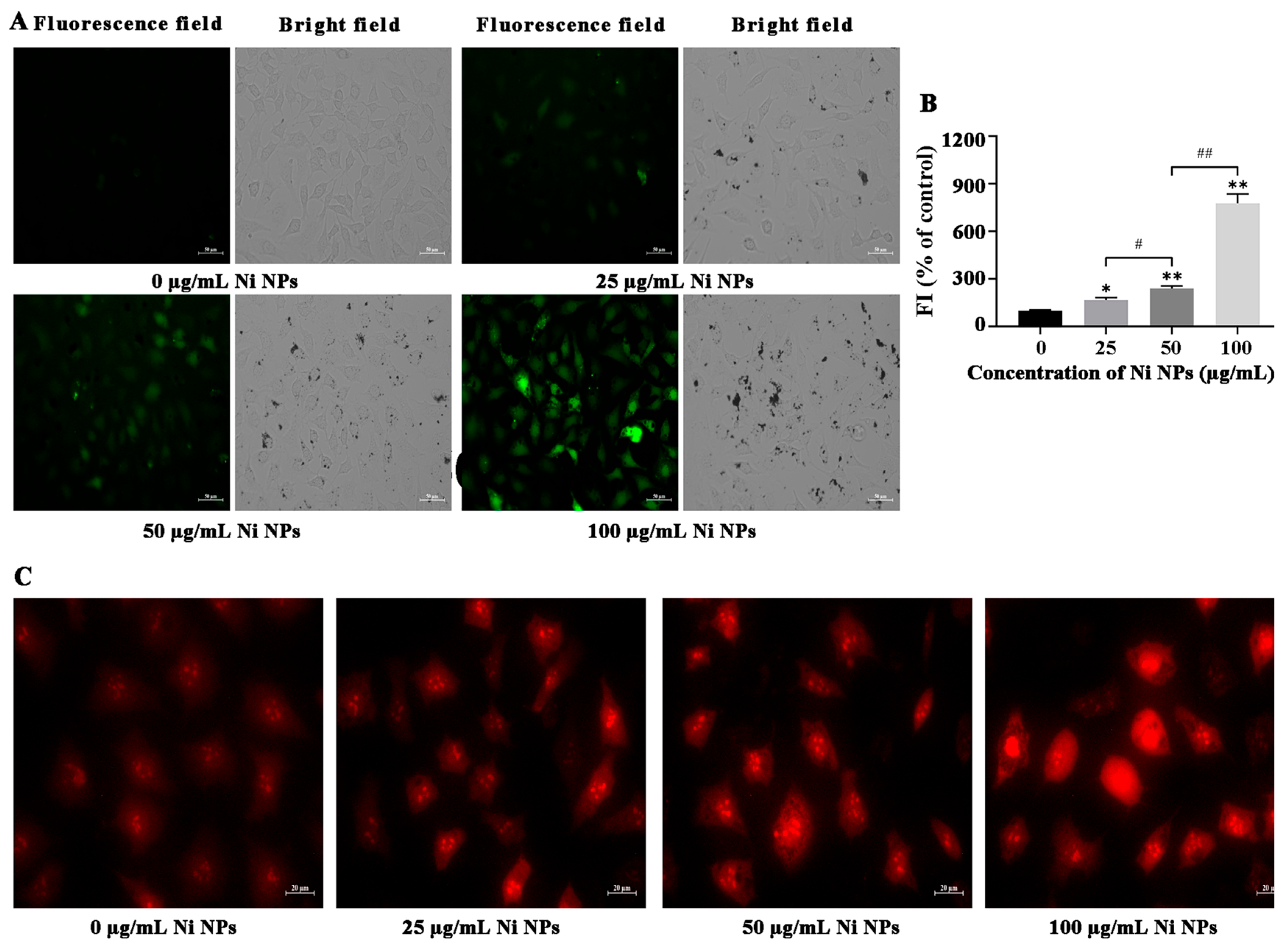 Nanomaterials 16 00034 g002