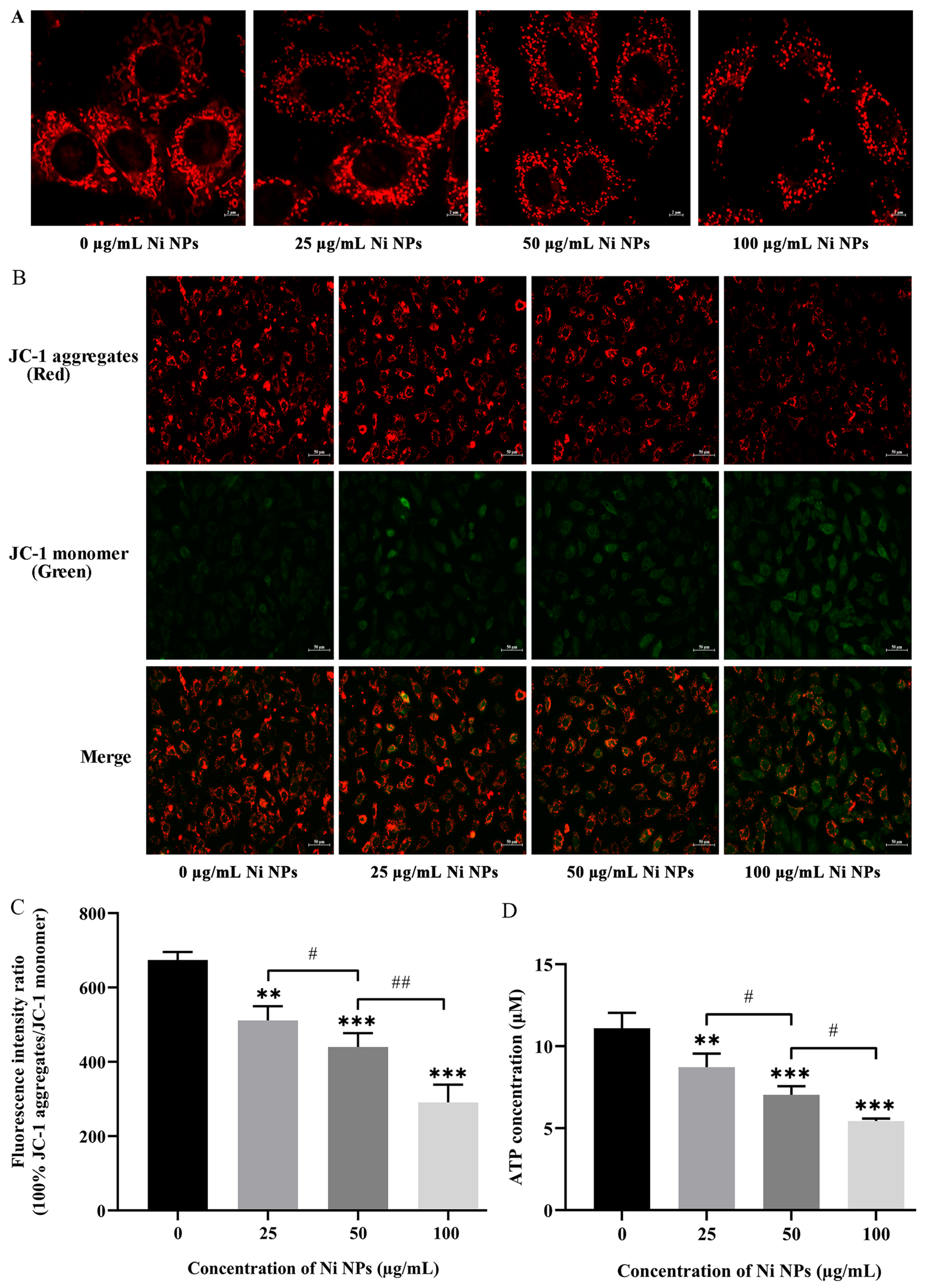 Nanomaterials 16 00034 g003
