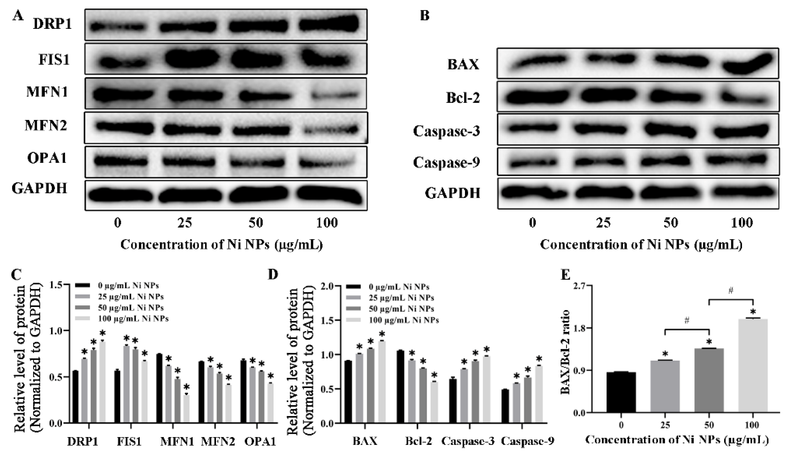 Nanomaterials 16 00034 g004
