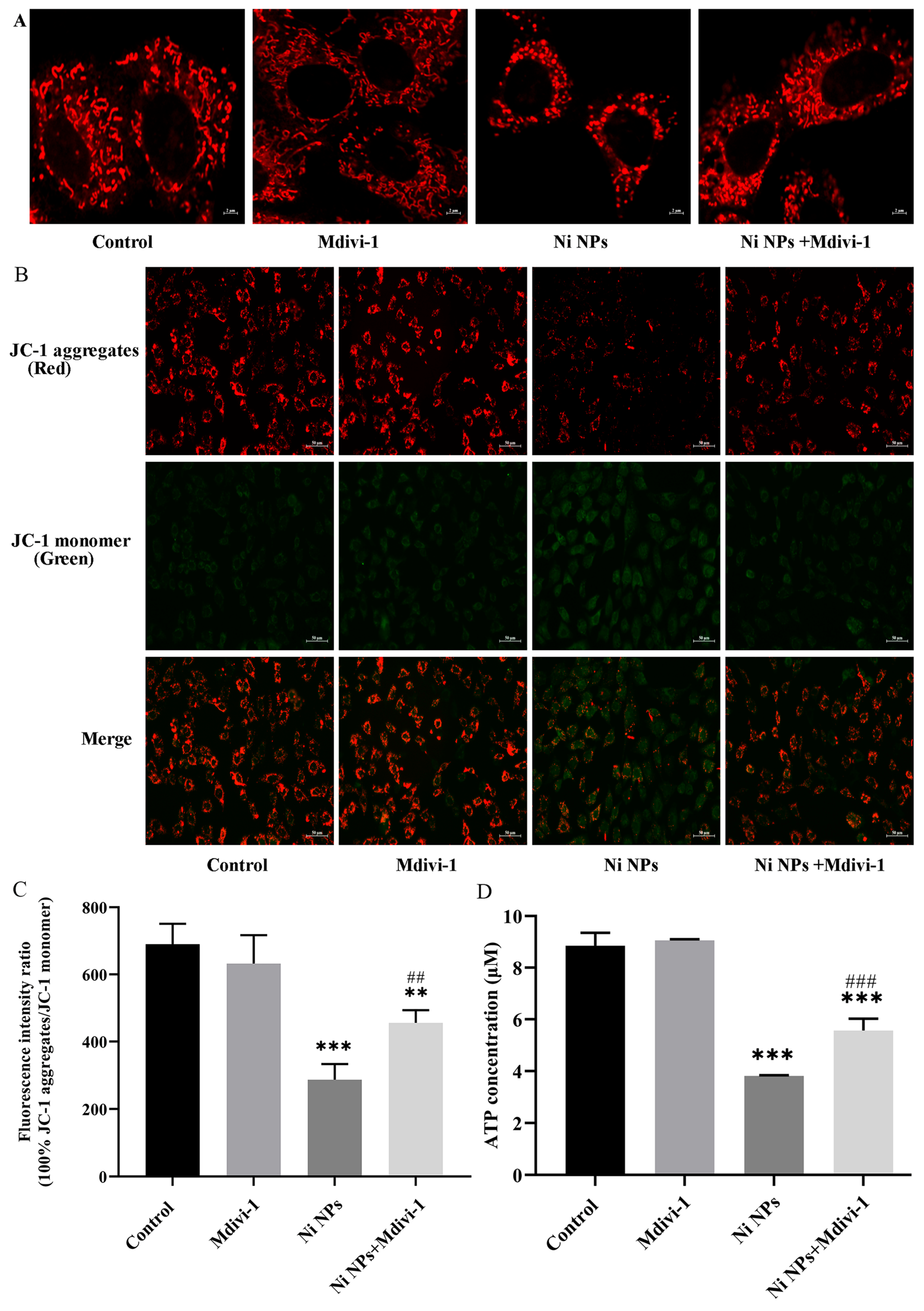 Nanomaterials 16 00034 g008