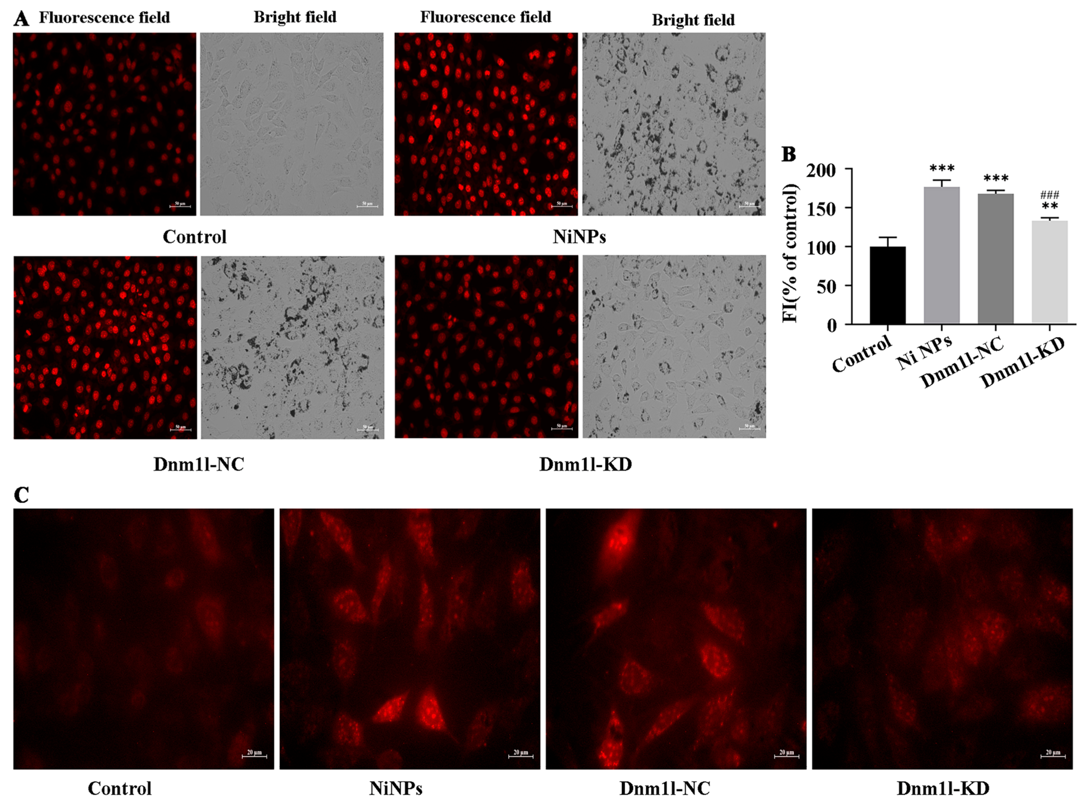 Nanomaterials 16 00034 g012