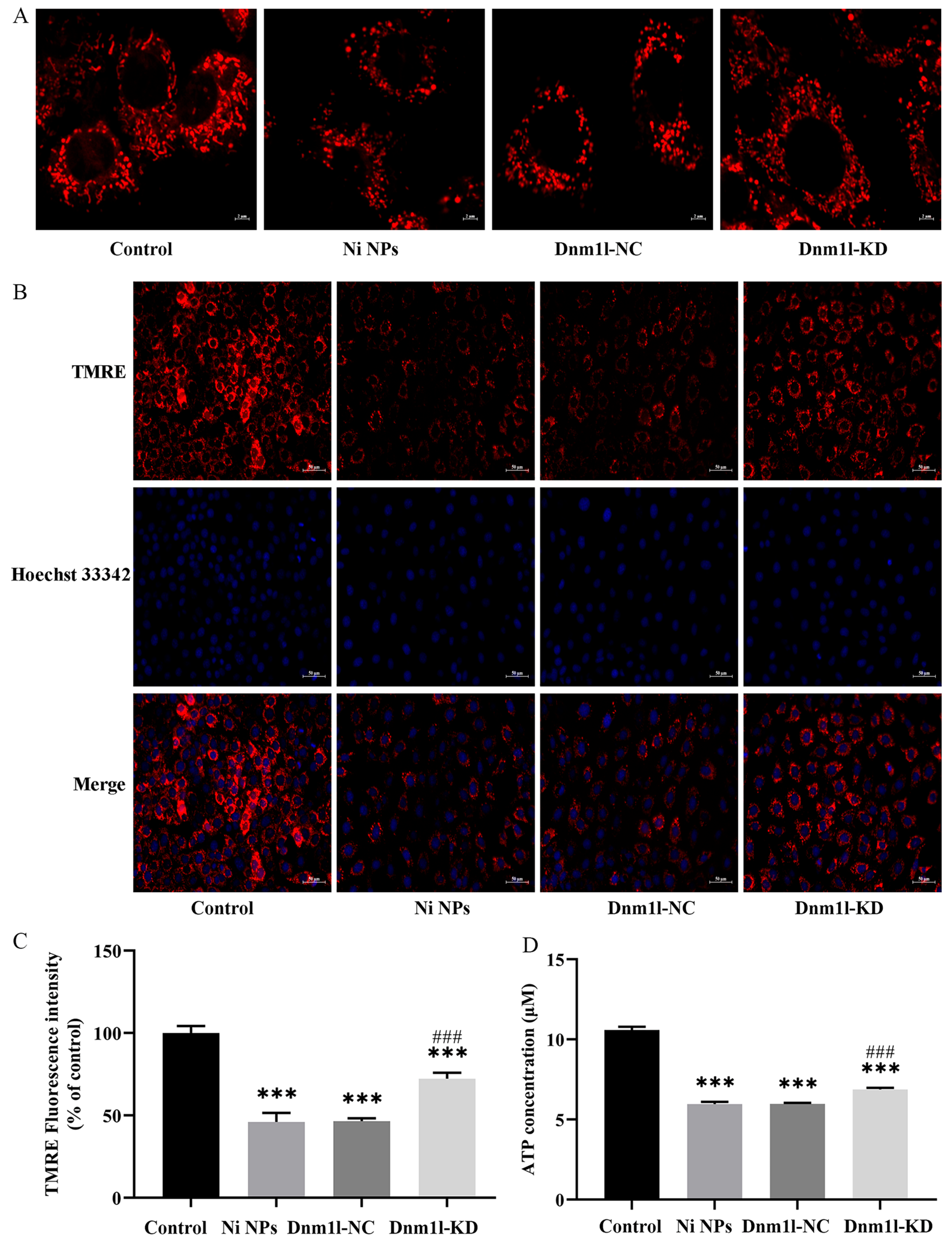 Nanomaterials 16 00034 g013