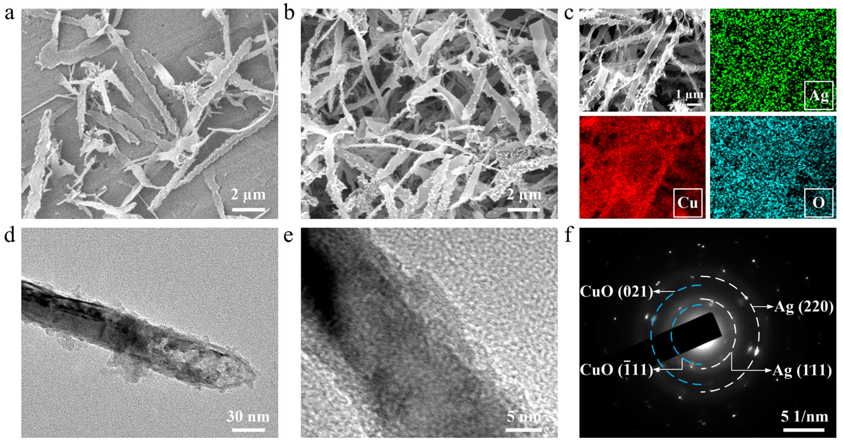 Nanomaterials 16 00038 g001 Nanomaterials 16 00038 g001