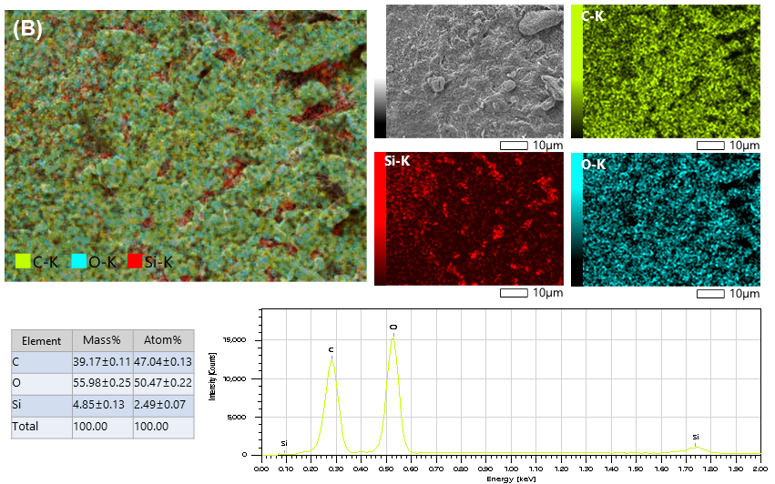Nanomaterials 16 00045 g008b