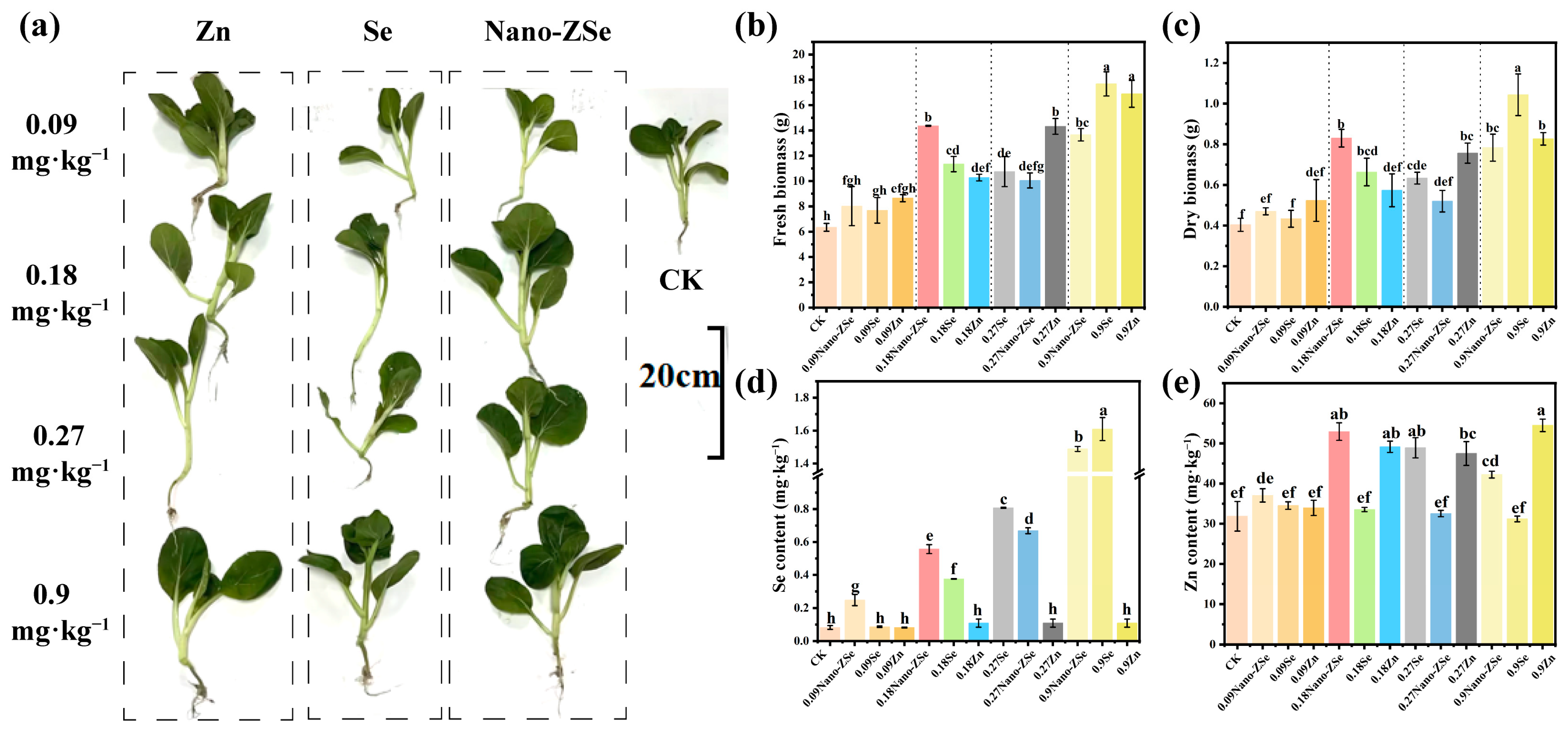 Nanomaterials 16 00056 g001