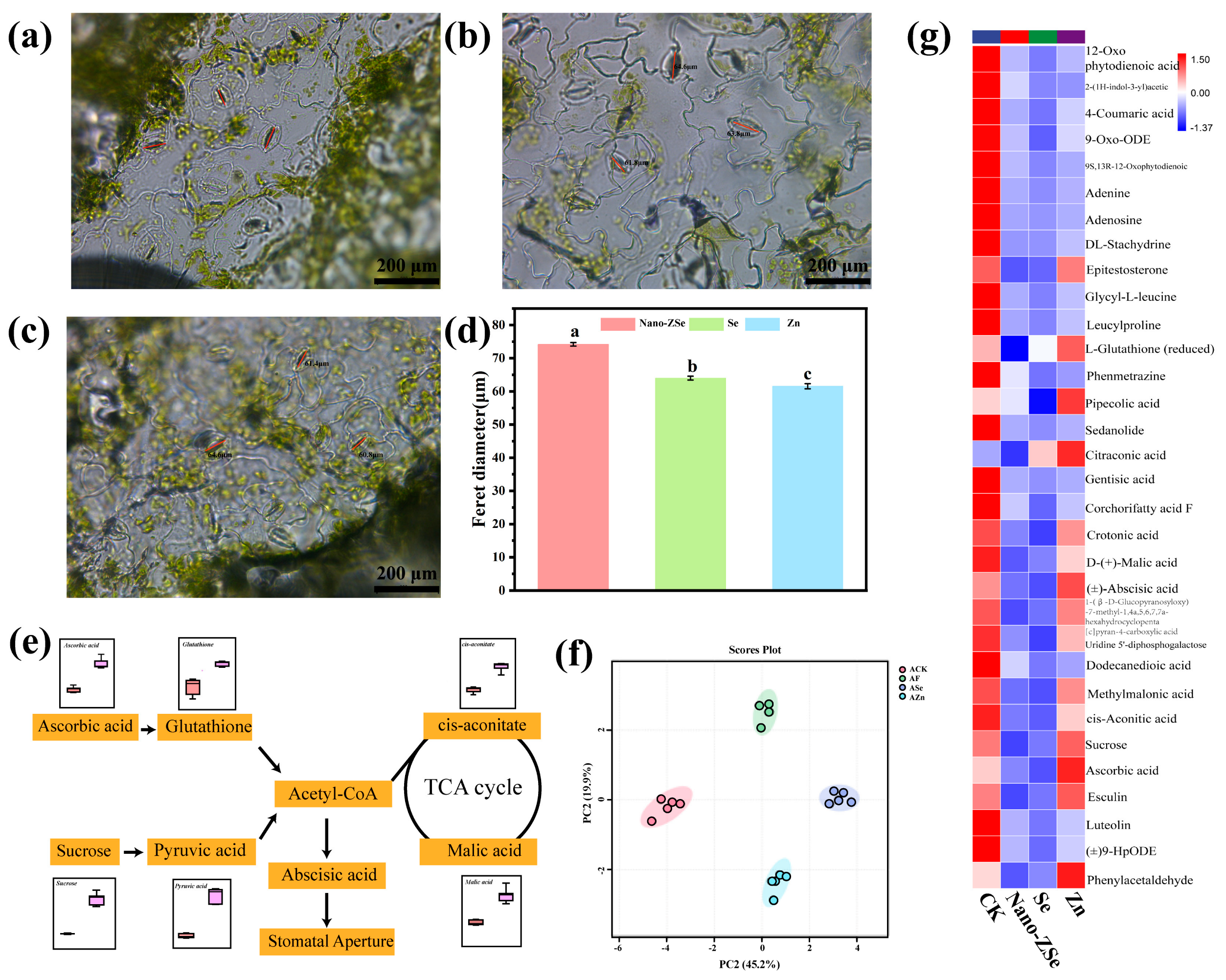 Nanomaterials 16 00056 g002