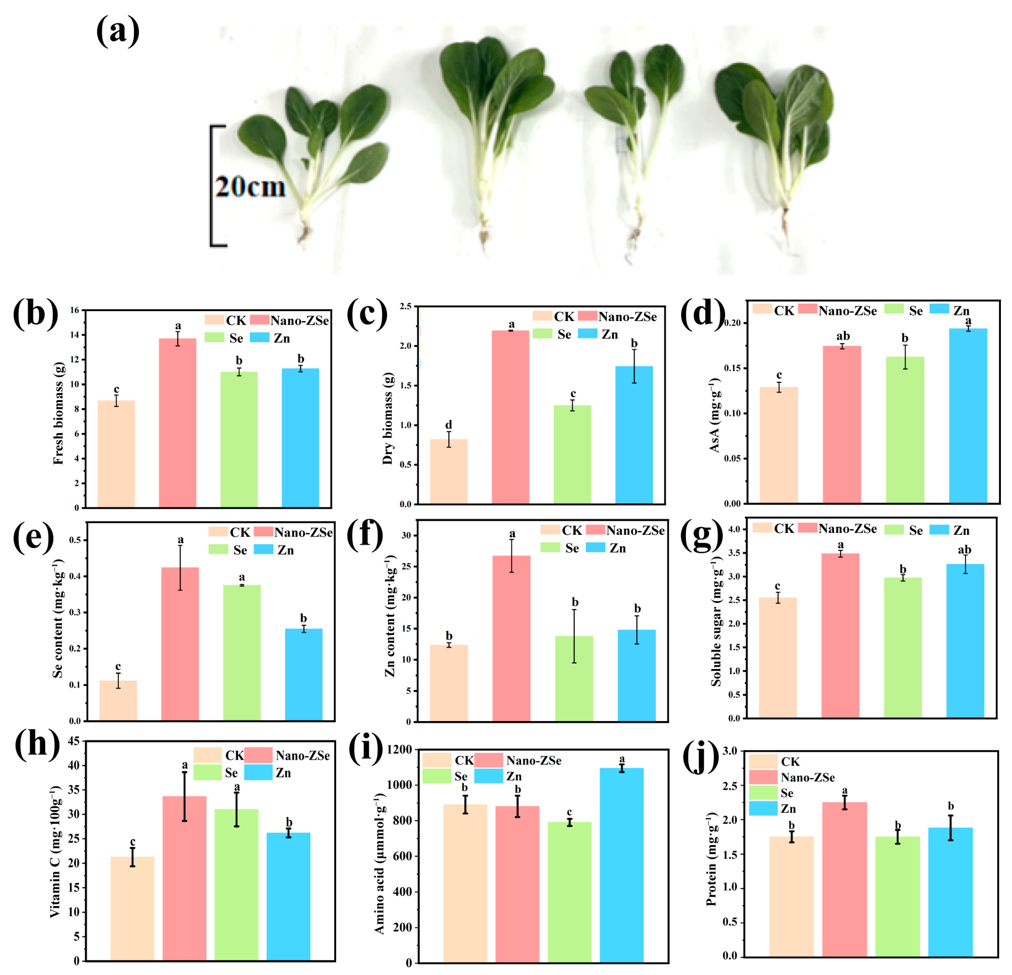 Nanomaterials 16 00056 g003