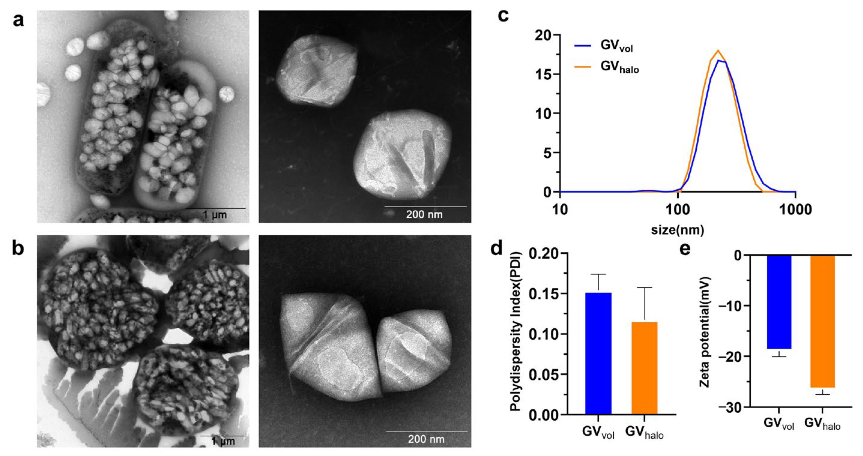 Nanomaterials 16 00062 g002