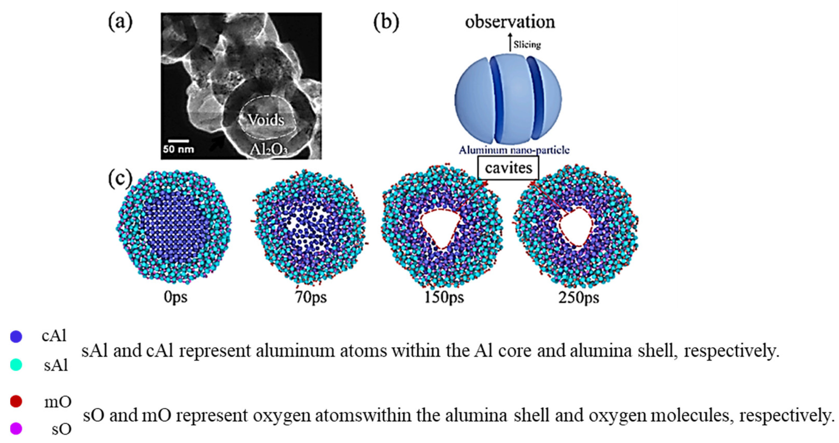 Nanomaterials 16 00074 g003
