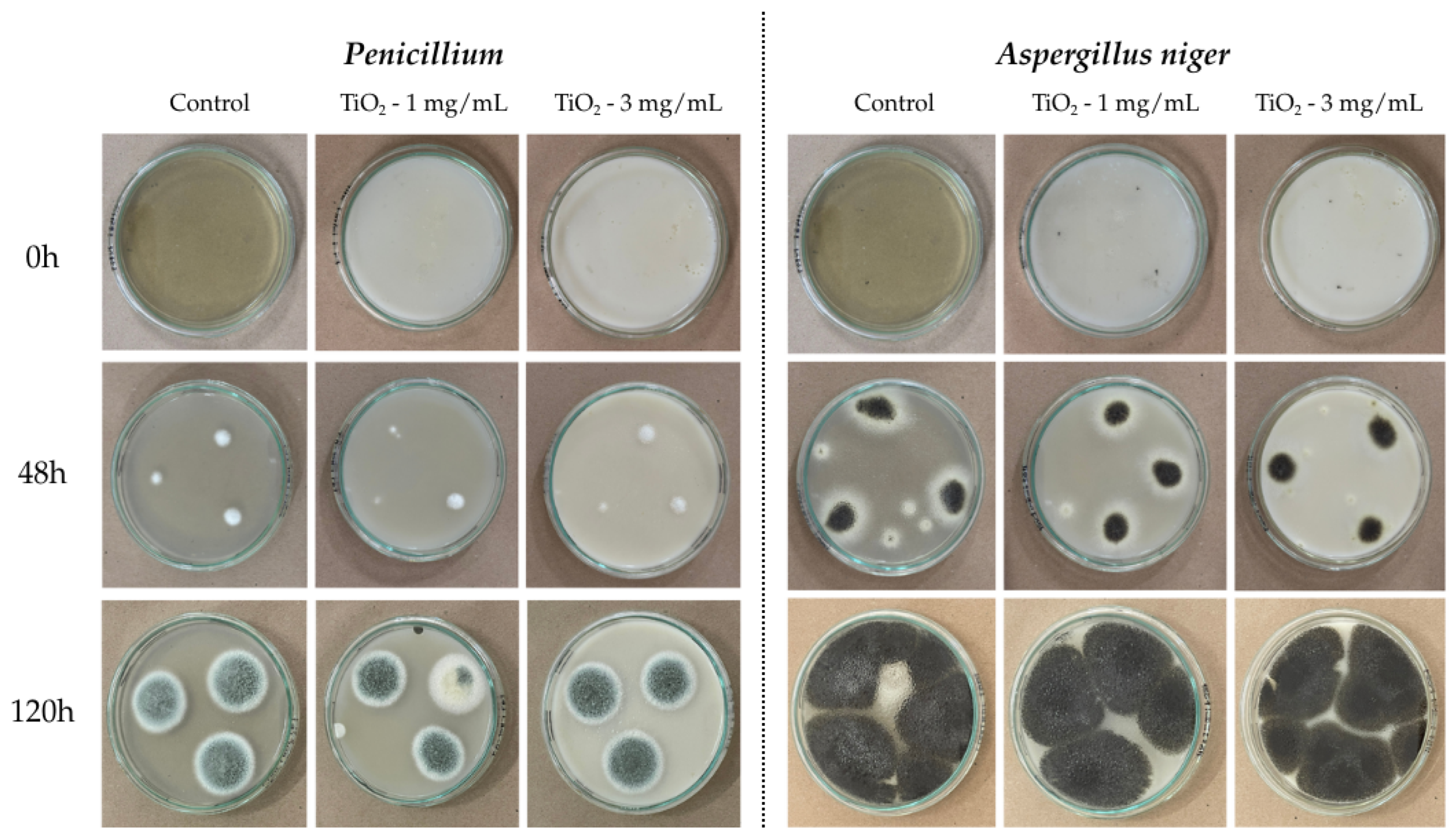 Nanomaterials 16 00091 g009 Nanomaterials 16 00091 g009