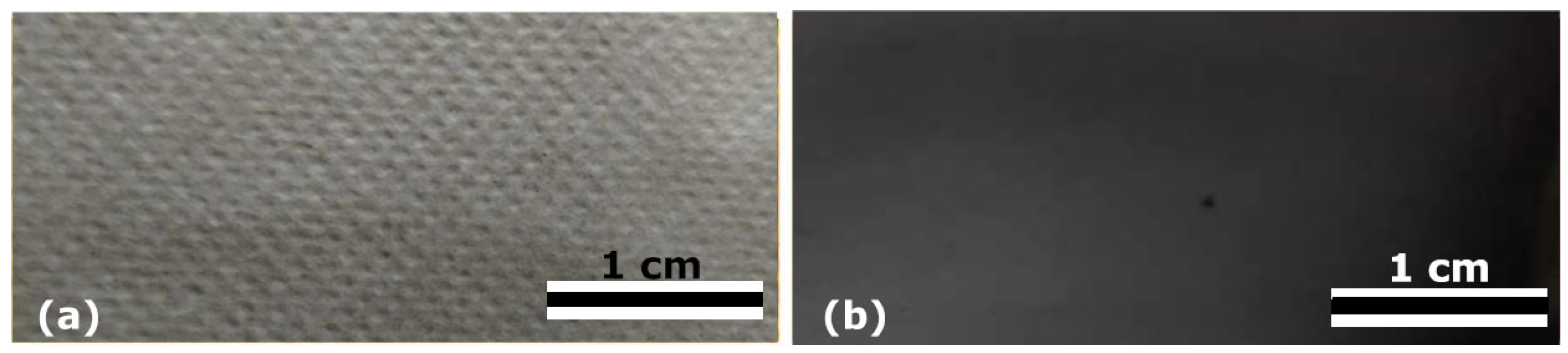 Nanomaterials 16 00098 g006