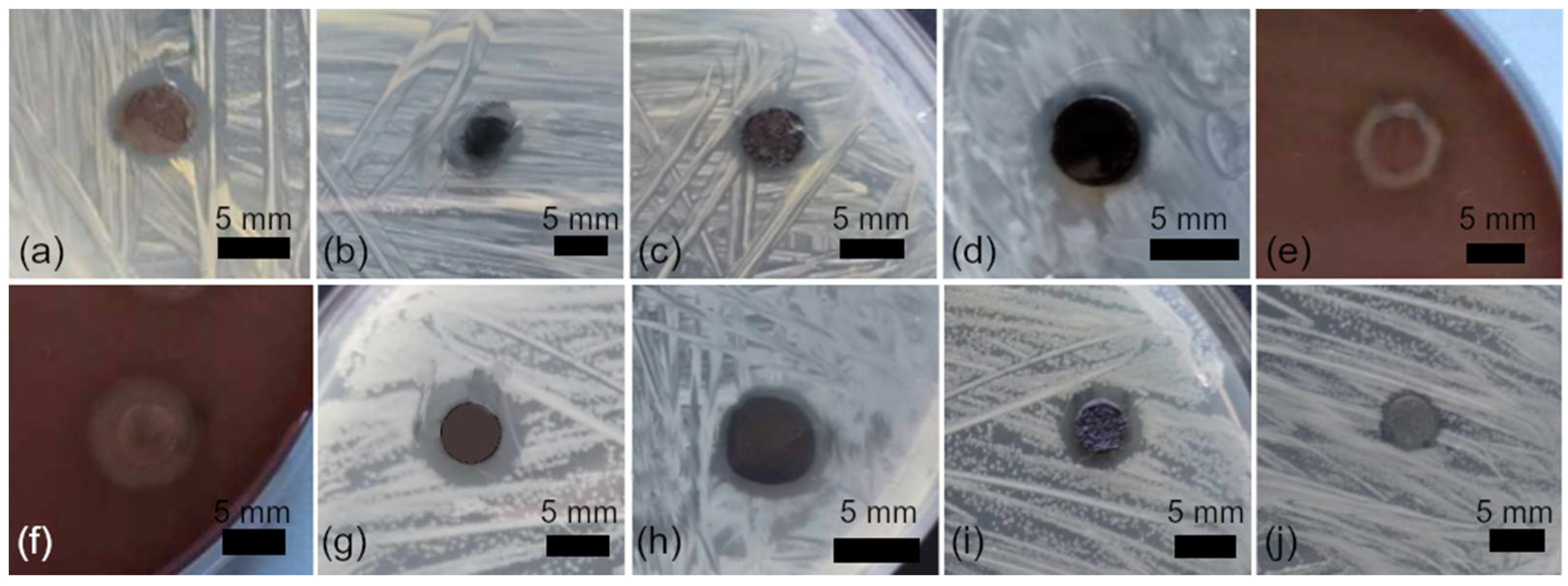 Nanomaterials 16 00098 g008