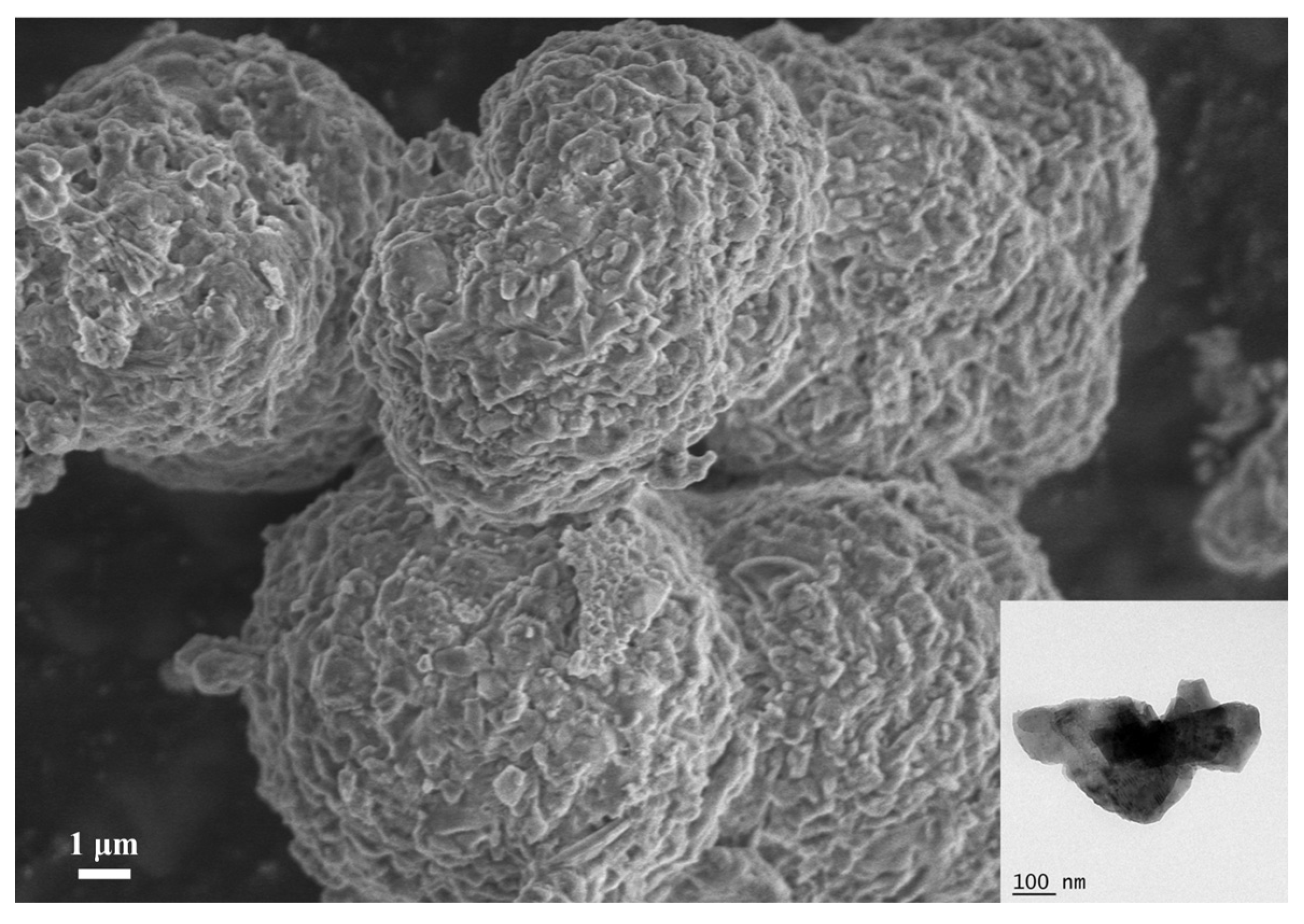 Nanomaterials 16 00111 g002