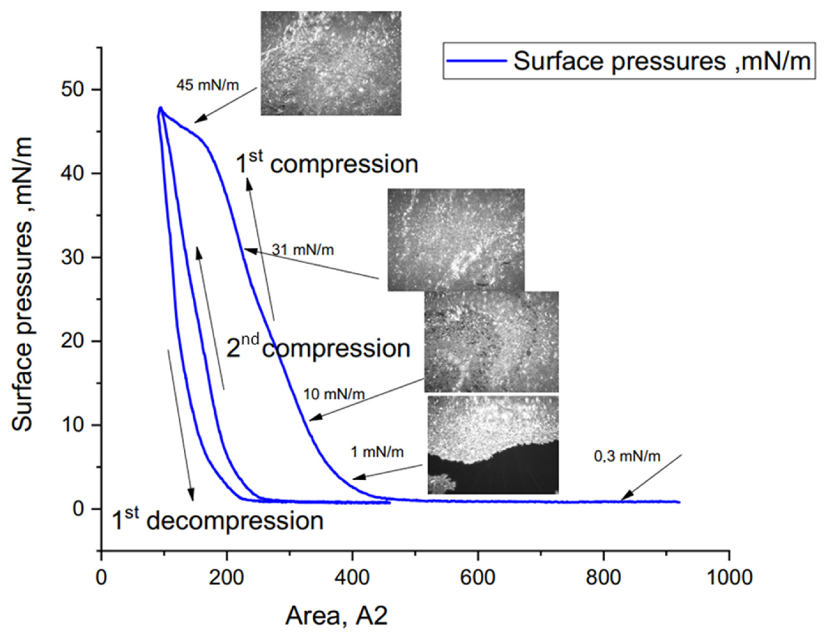 Nanomaterials 16 00124 g003