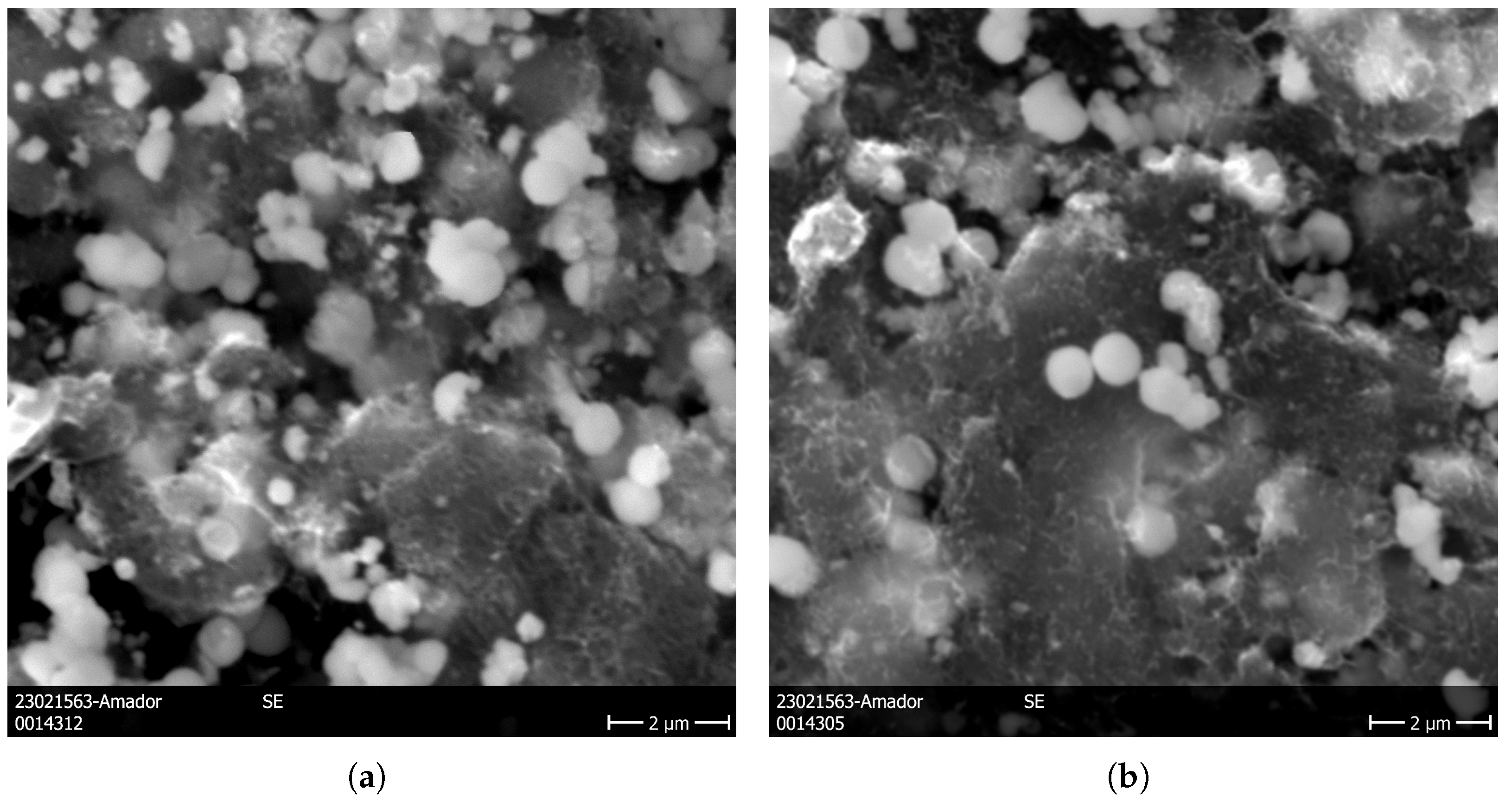 Nanomaterials 16 00127 g005a Nanomaterials 16 00127 g005a