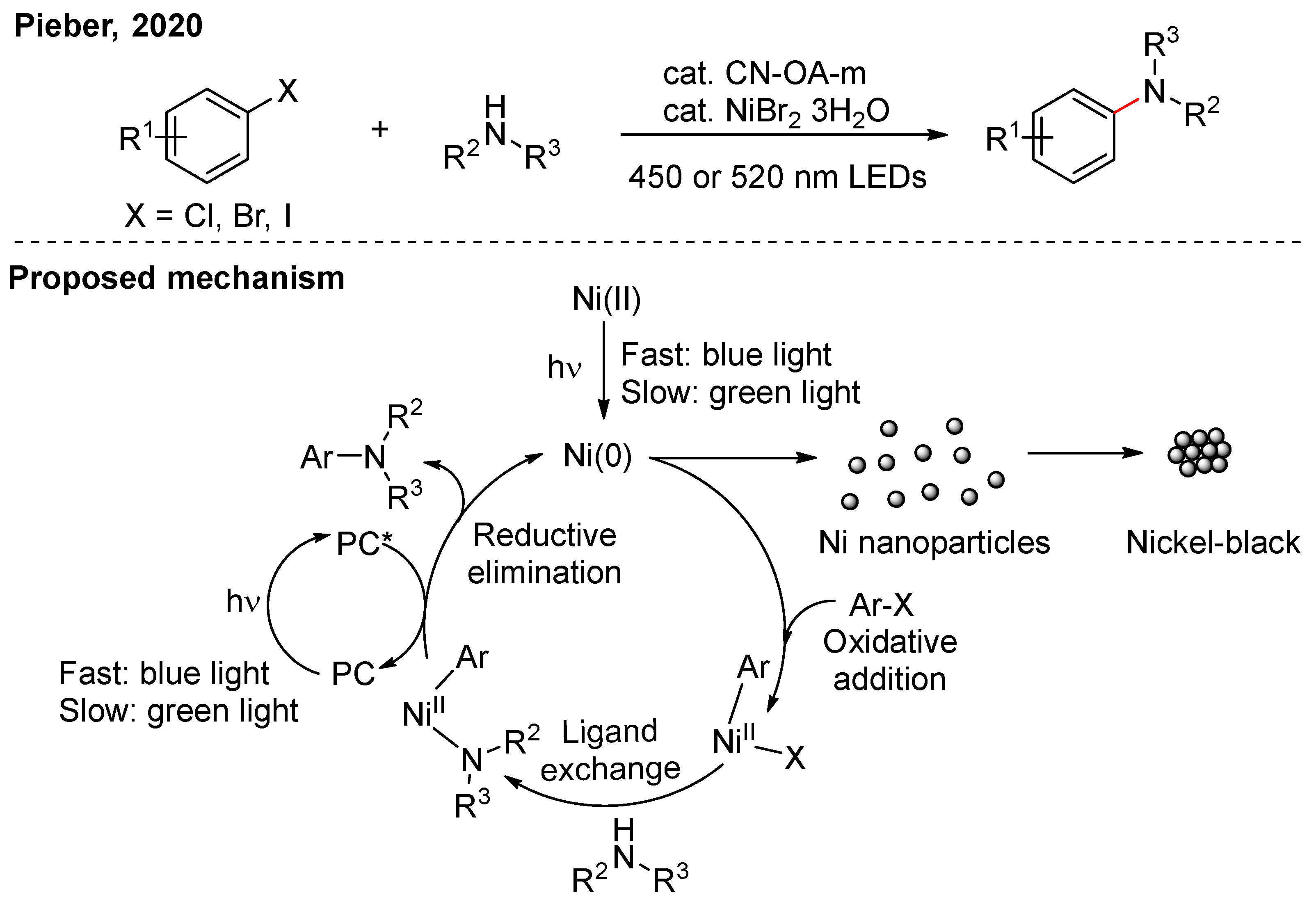 Nanomaterials 16 00129 g004