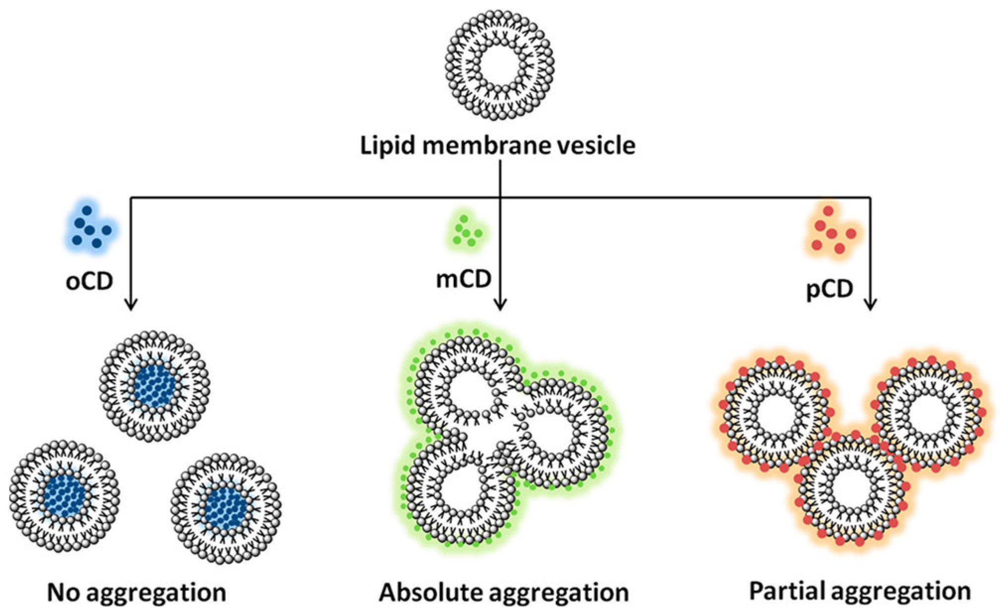 Nanomaterials 16 00140 g010 Nanomaterials 16 00140 g010