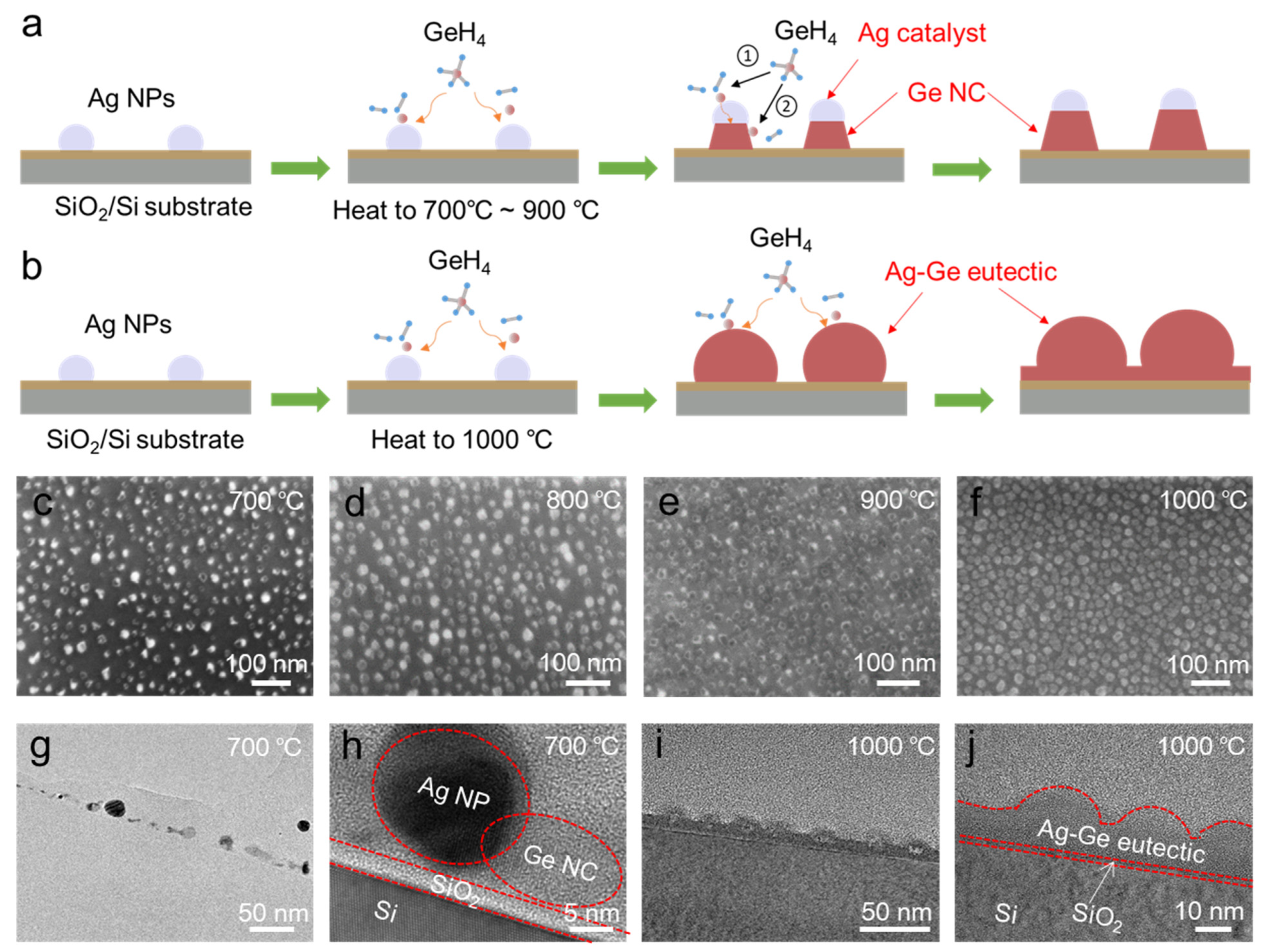 Nanomaterials 16 00146 g002