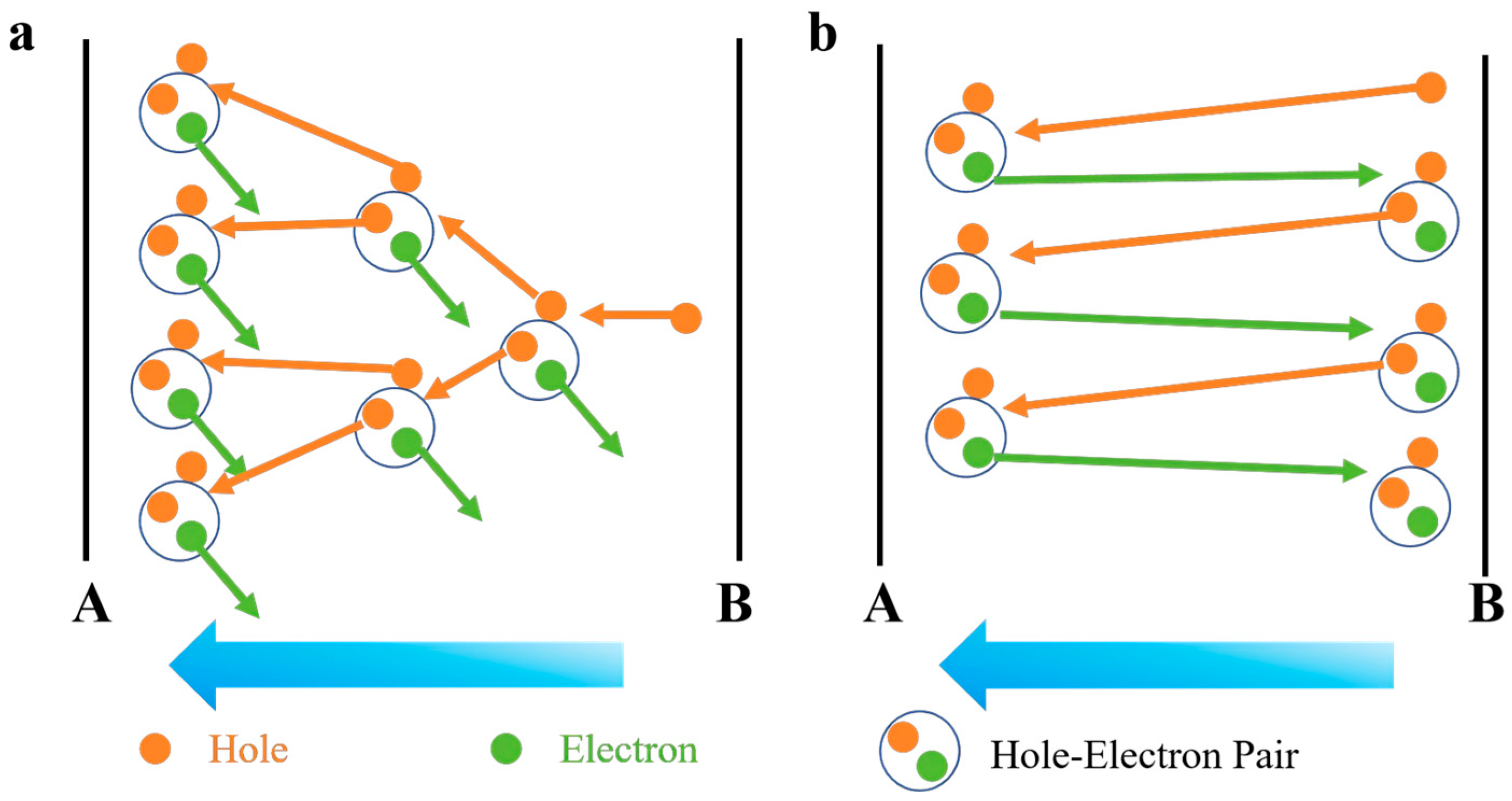 Nanomaterials 16 00154 g001