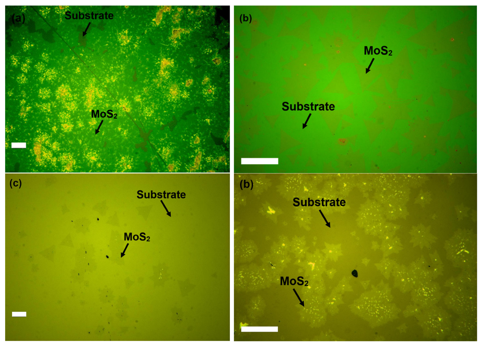 Nanomaterials 16 00159 g004 Nanomaterials 16 00159 g004