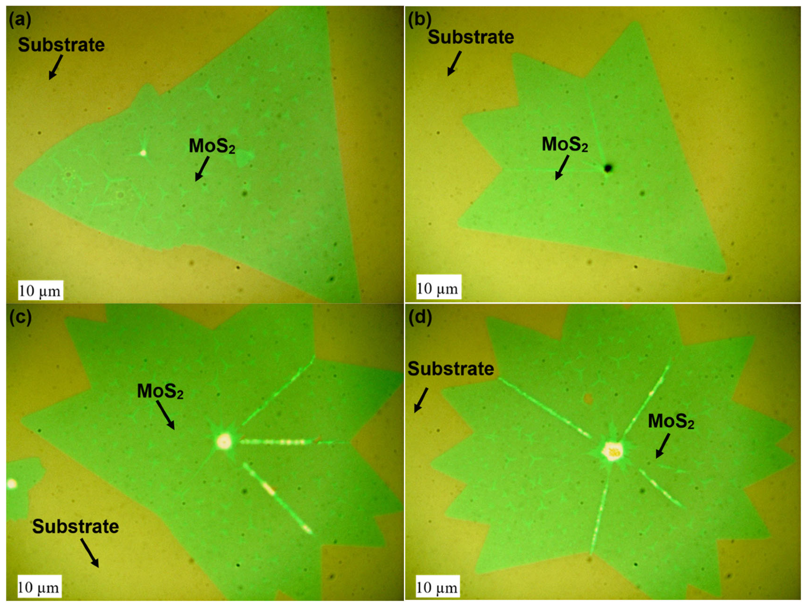 Nanomaterials 16 00159 g005 Nanomaterials 16 00159 g005