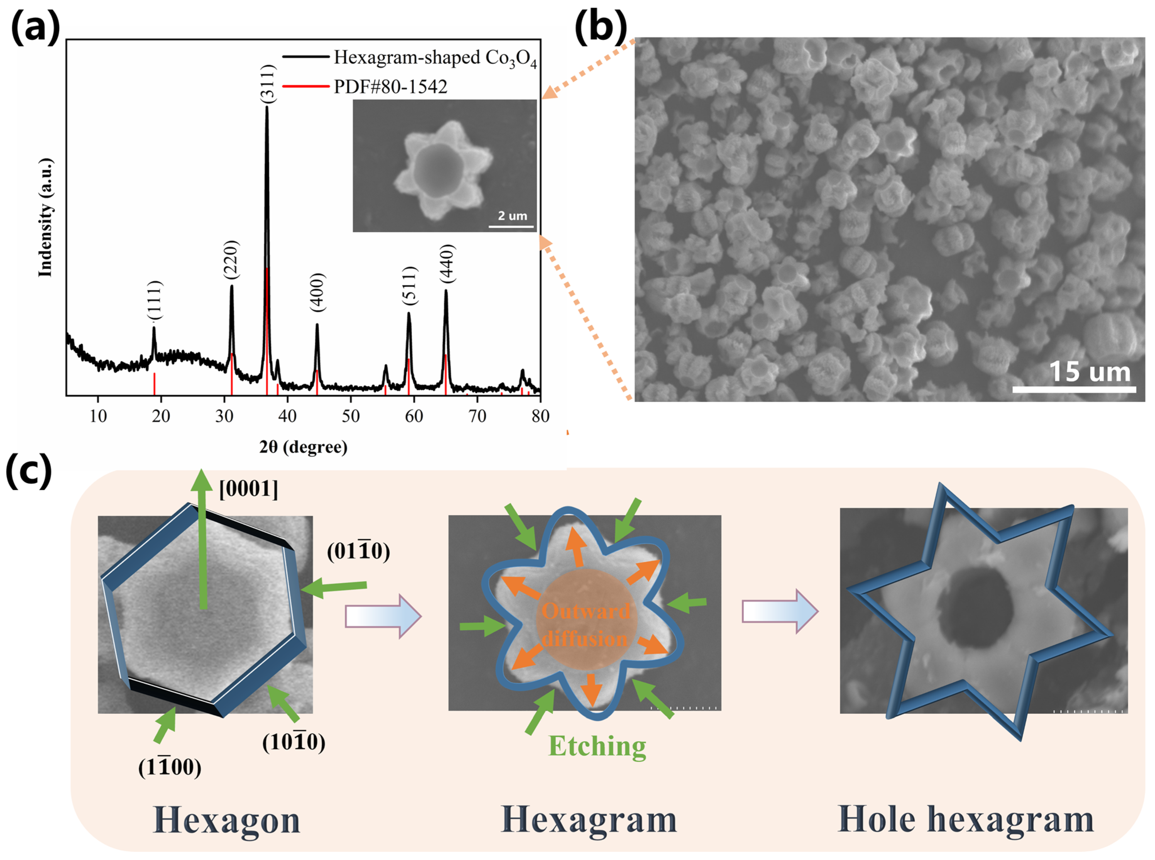 Nanomaterials 16 00162 g001