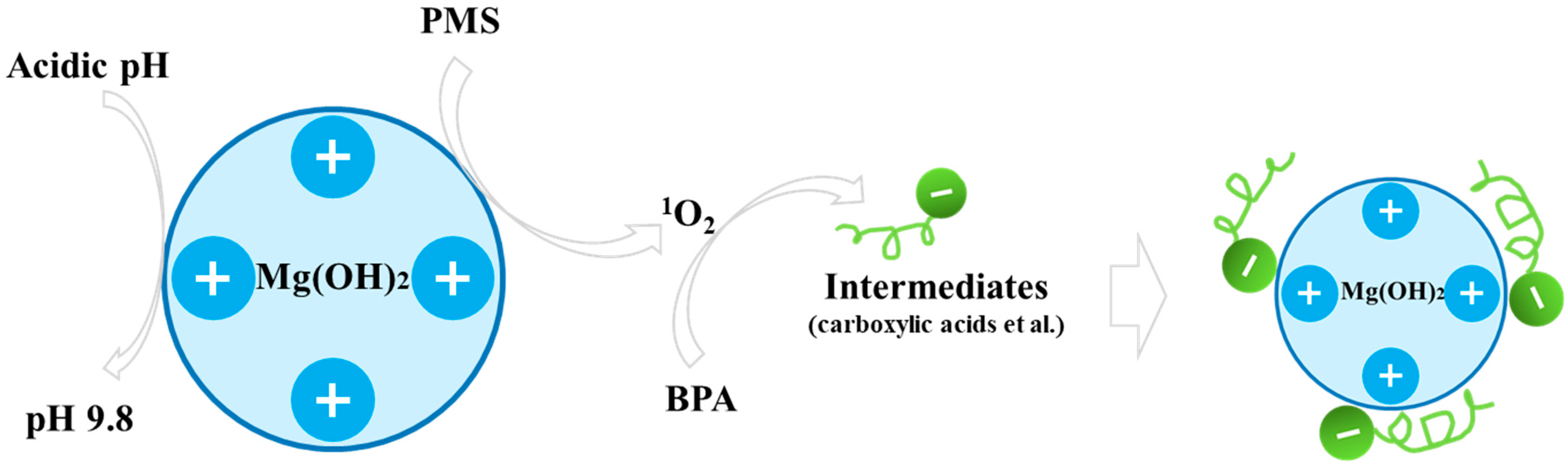 Nanomaterials 16 00166 g010