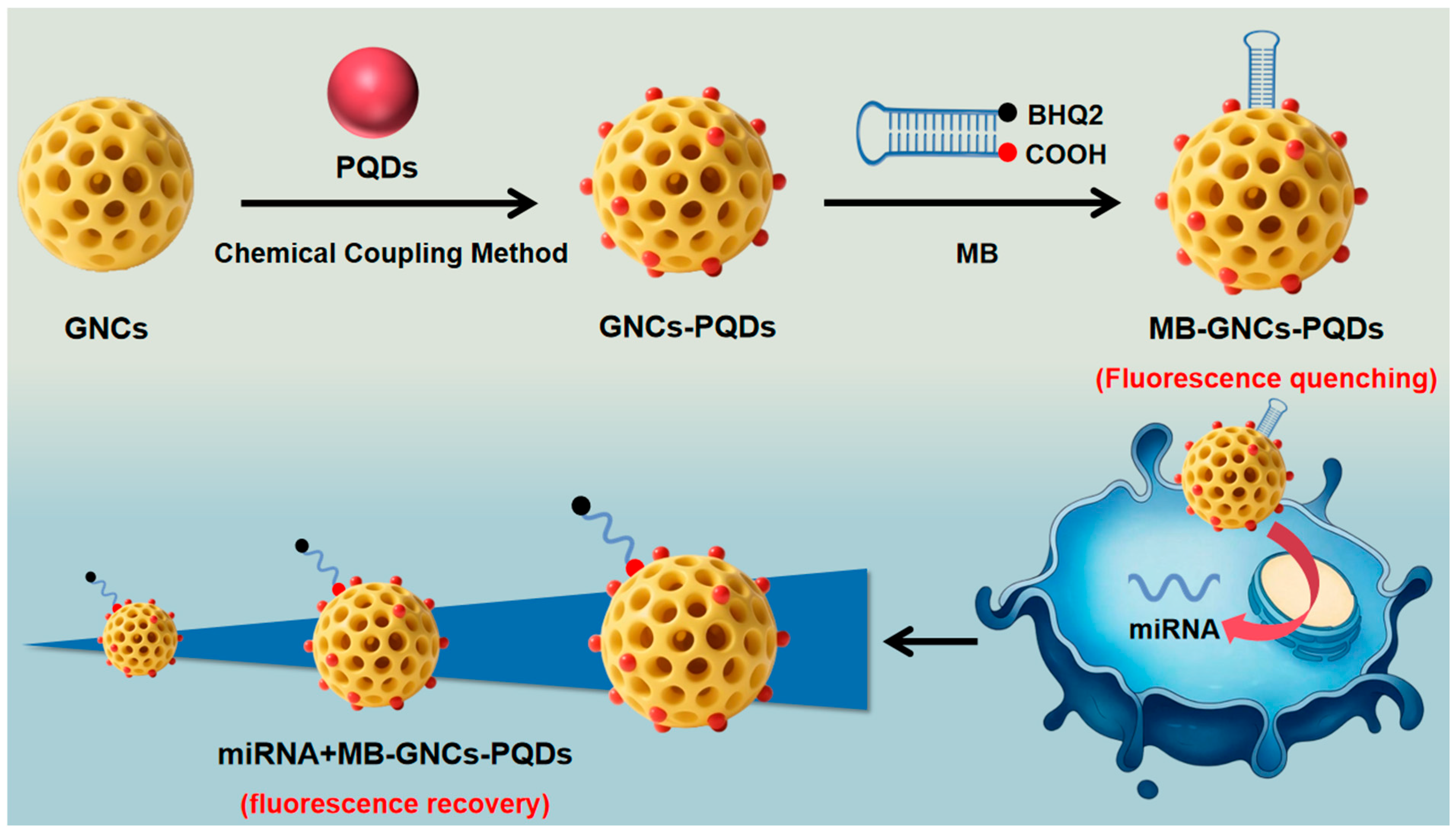 Nanomaterials 16 00168 g009