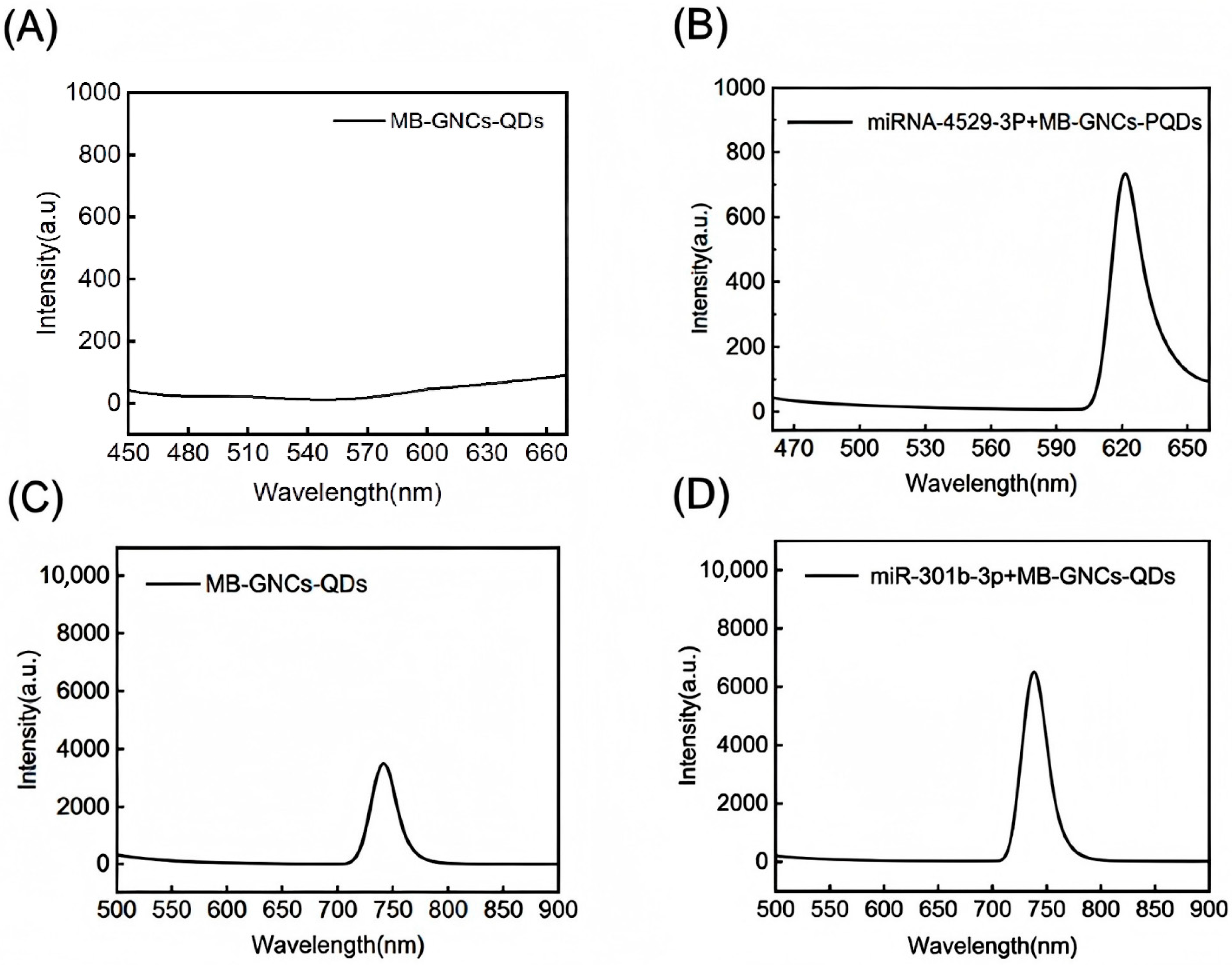 Nanomaterials 16 00168 g010