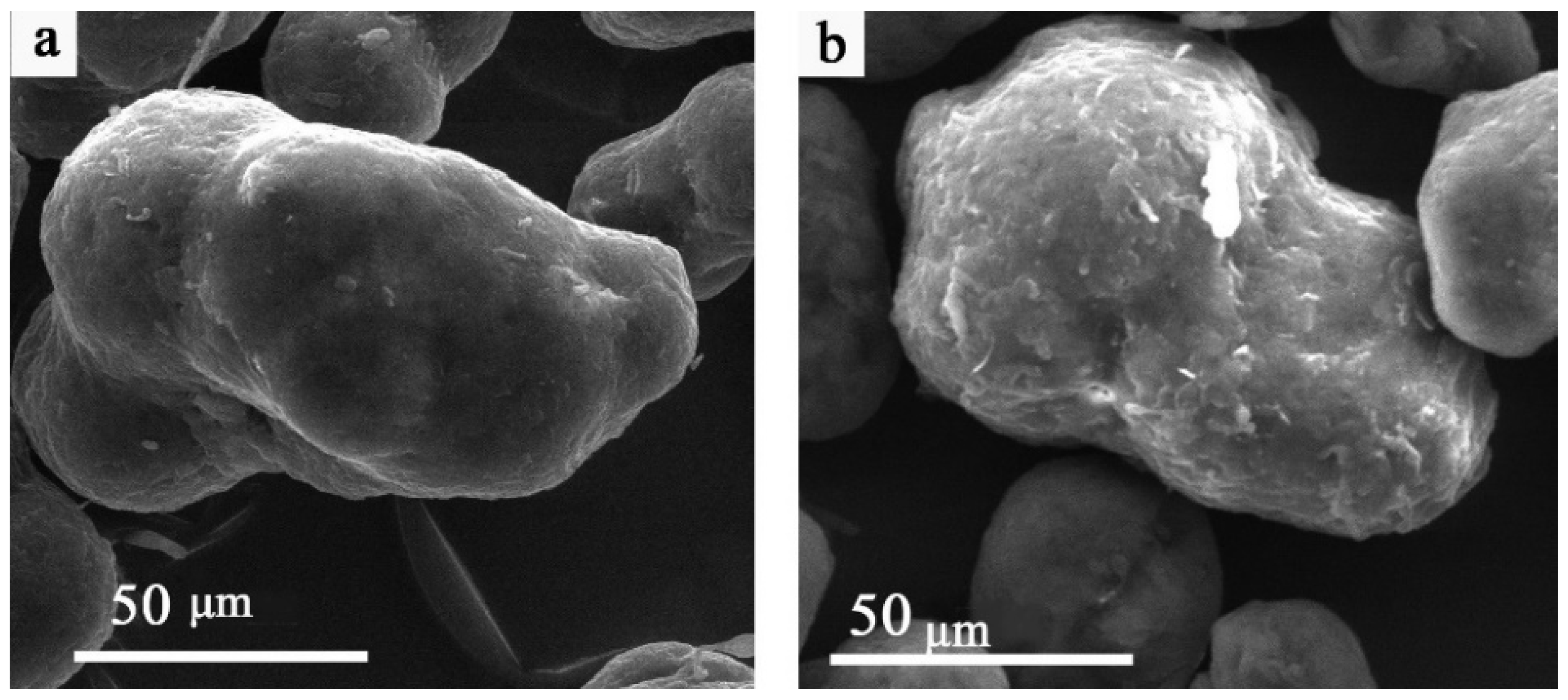 Nanomaterials 16 00170 g001