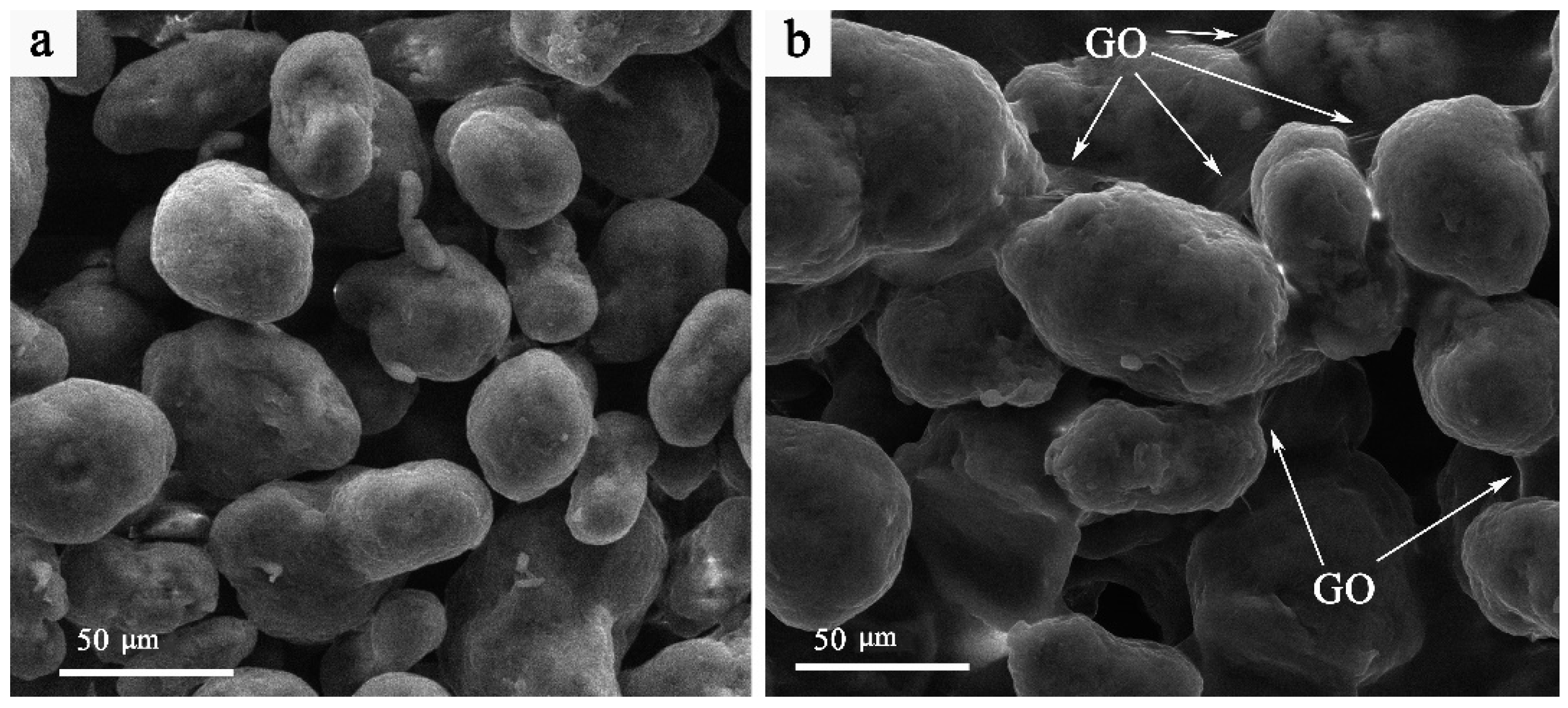 Nanomaterials 16 00170 g002