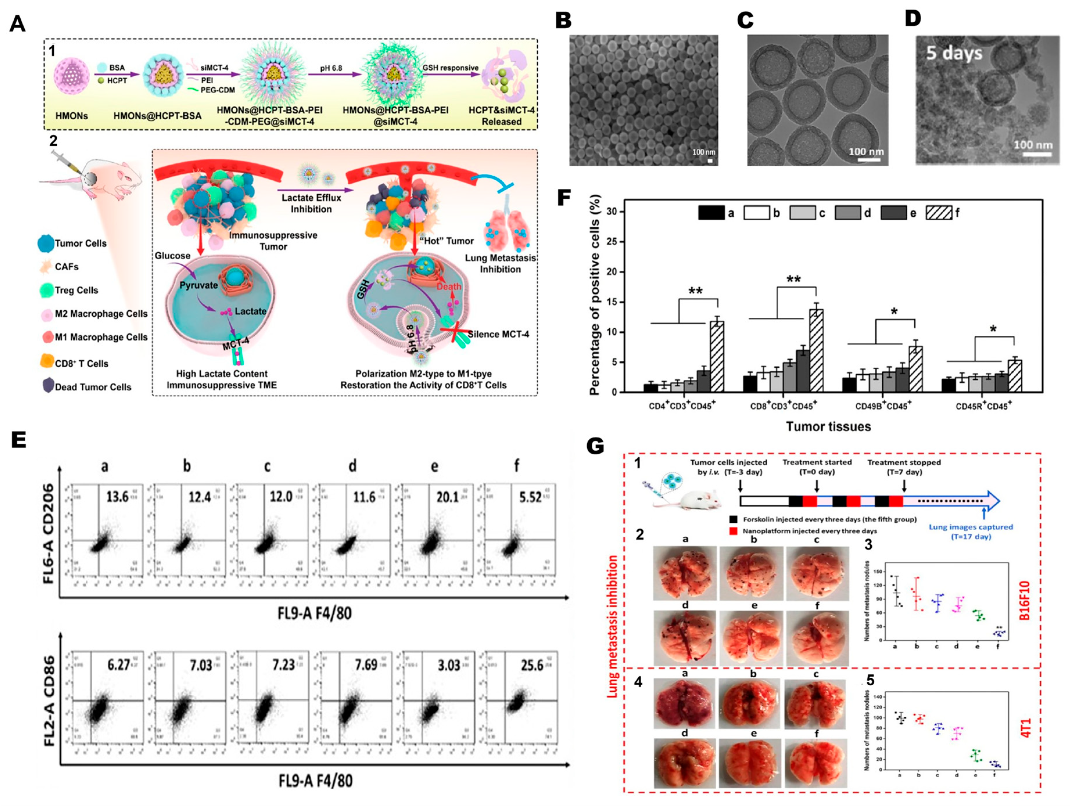 Nanomaterials 16 00172 g002 Nanomaterials 16 00172 g002