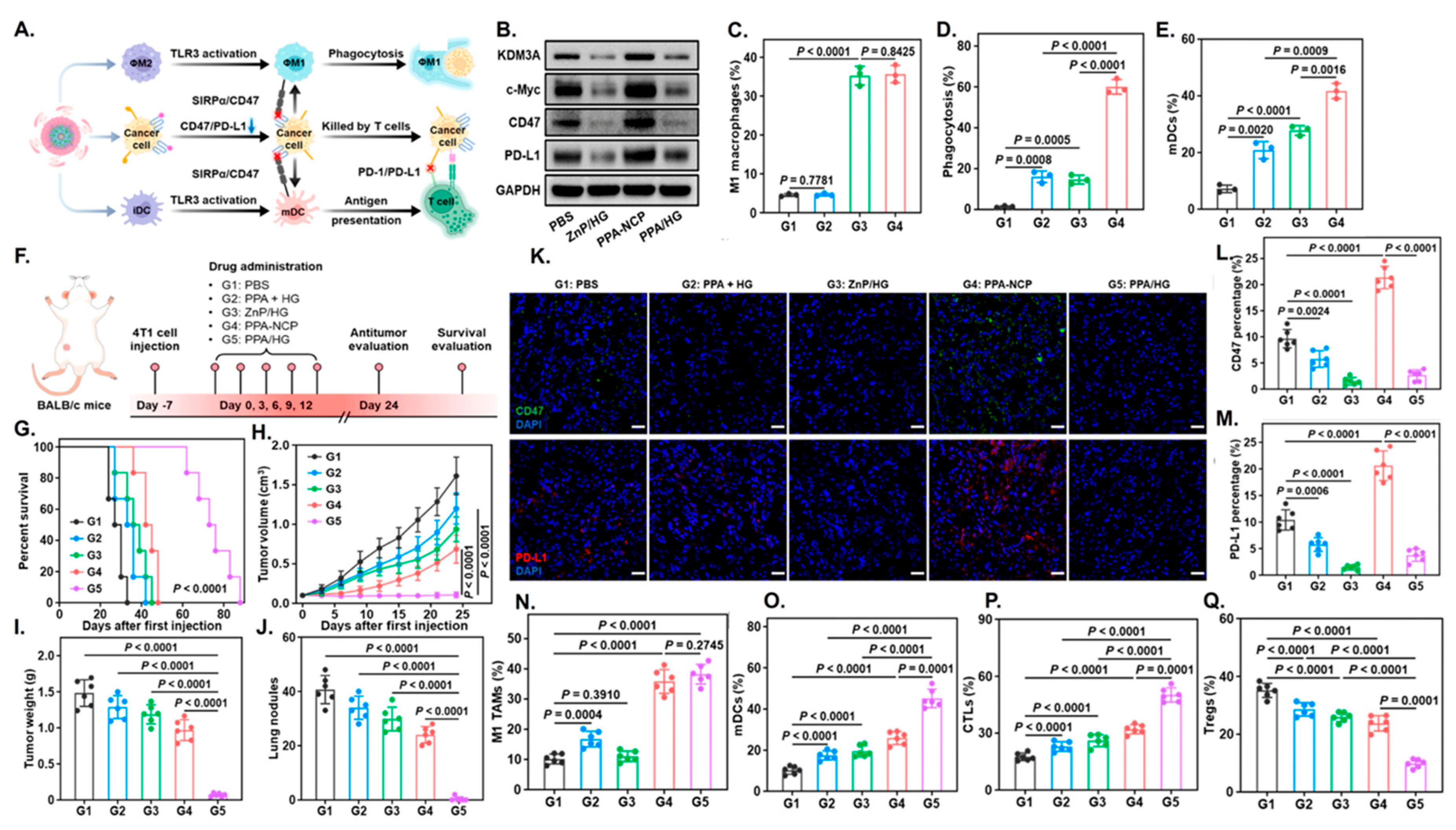 Nanomaterials 16 00172 g006 Nanomaterials 16 00172 g006