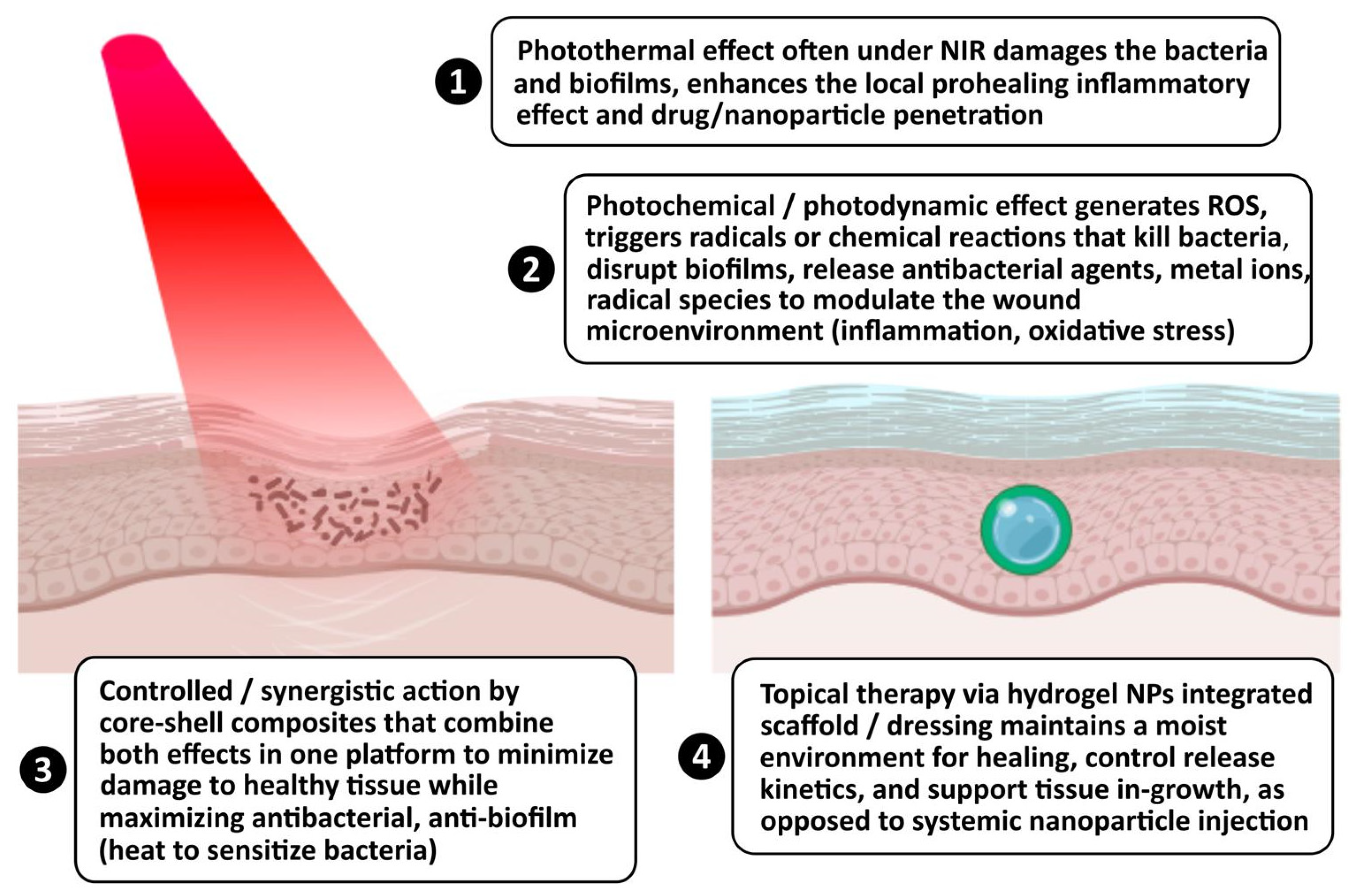 Nanomaterials 16 00174 g007 Nanomaterials 16 00174 g007