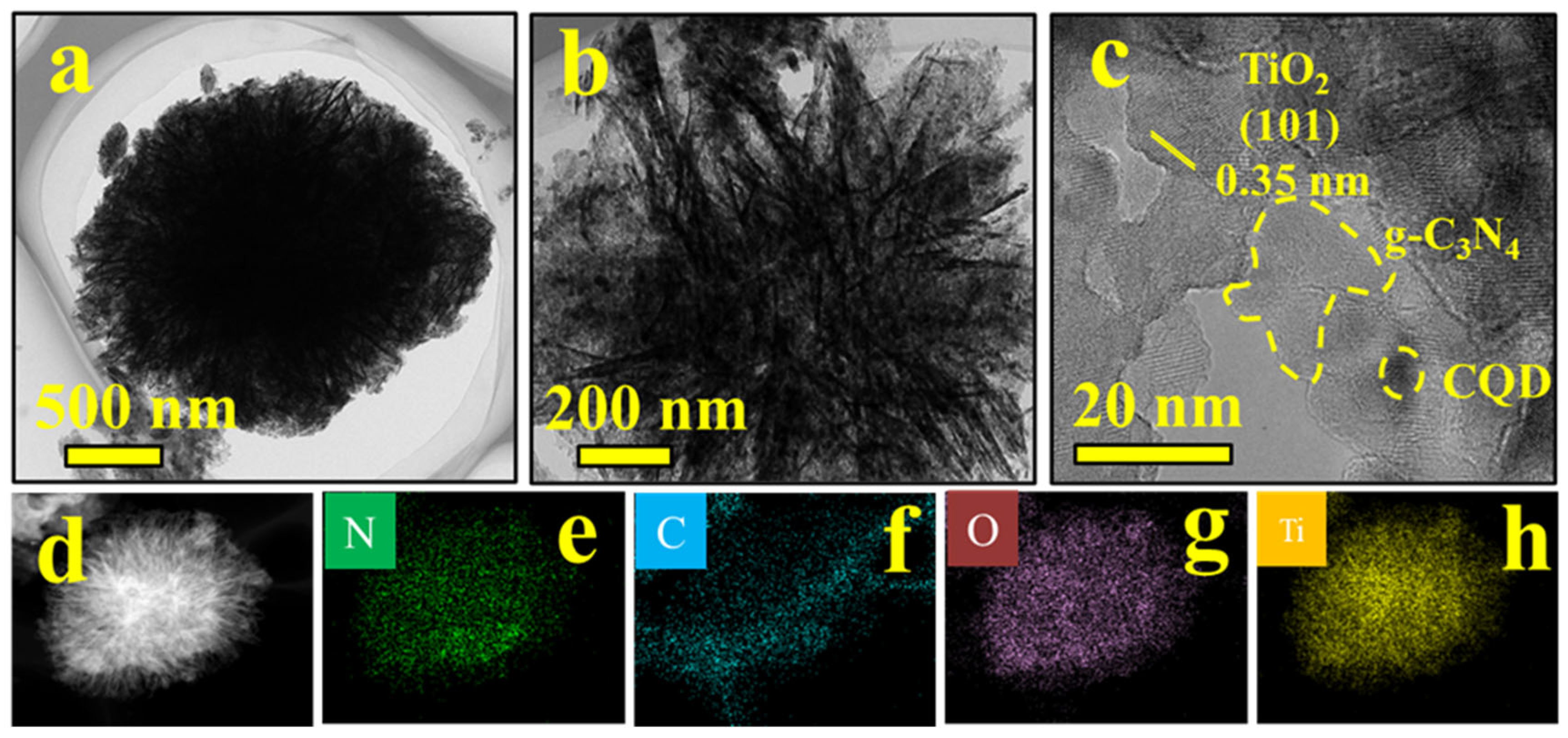 Nanomaterials 16 00181 g003 Nanomaterials 16 00181 g003