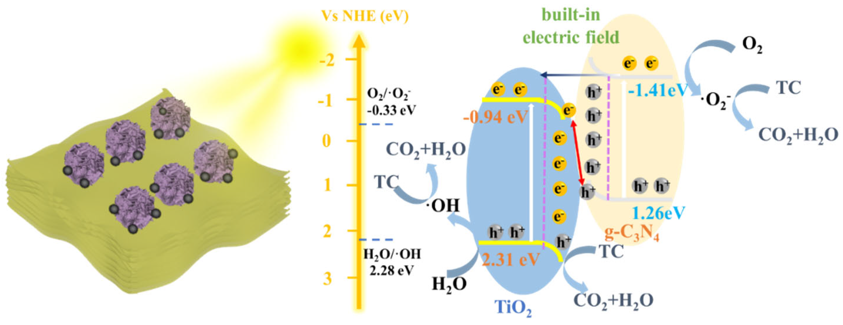 Nanomaterials 16 00181 g009 Nanomaterials 16 00181 g009