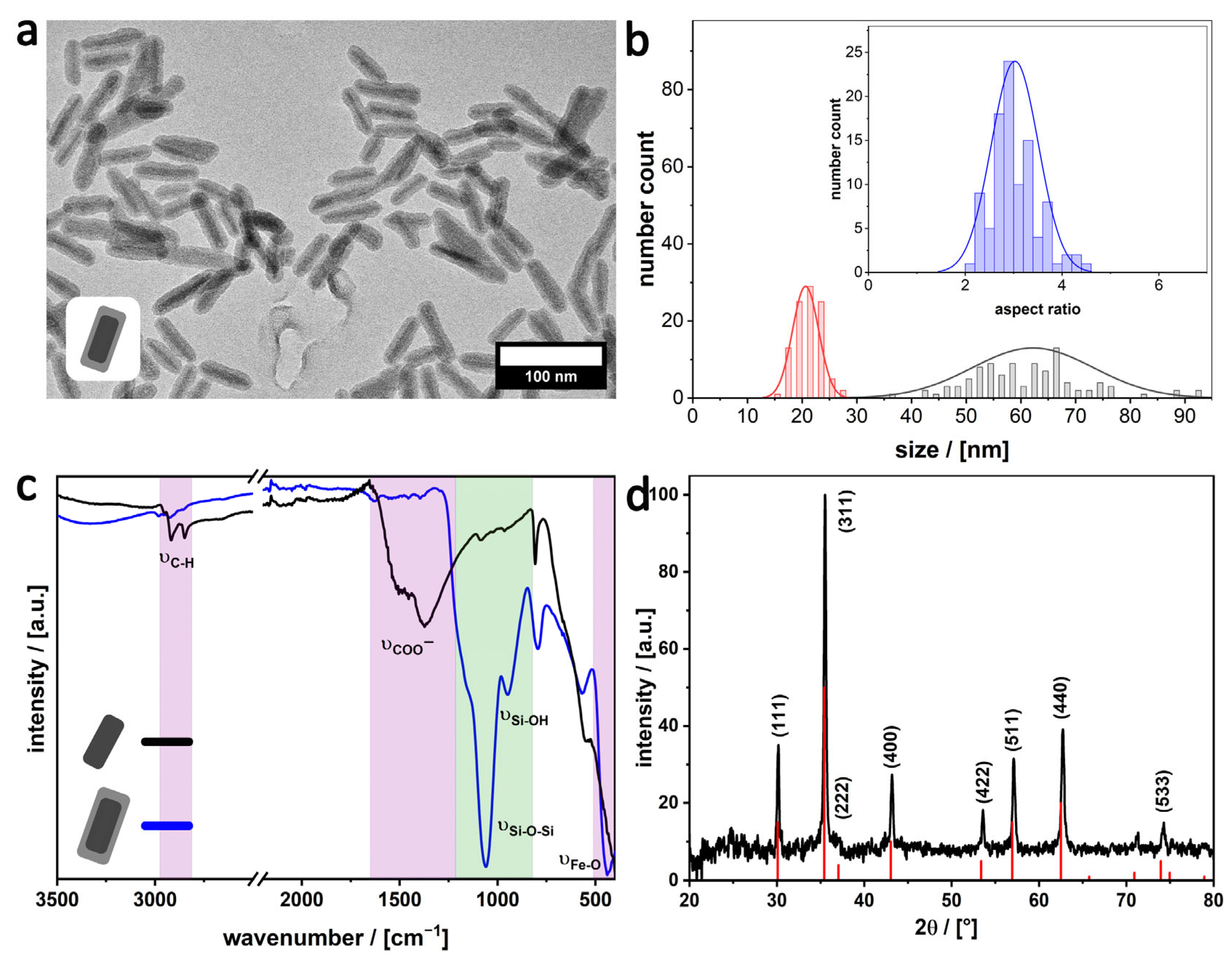 Nanomaterials 16 00219 g004