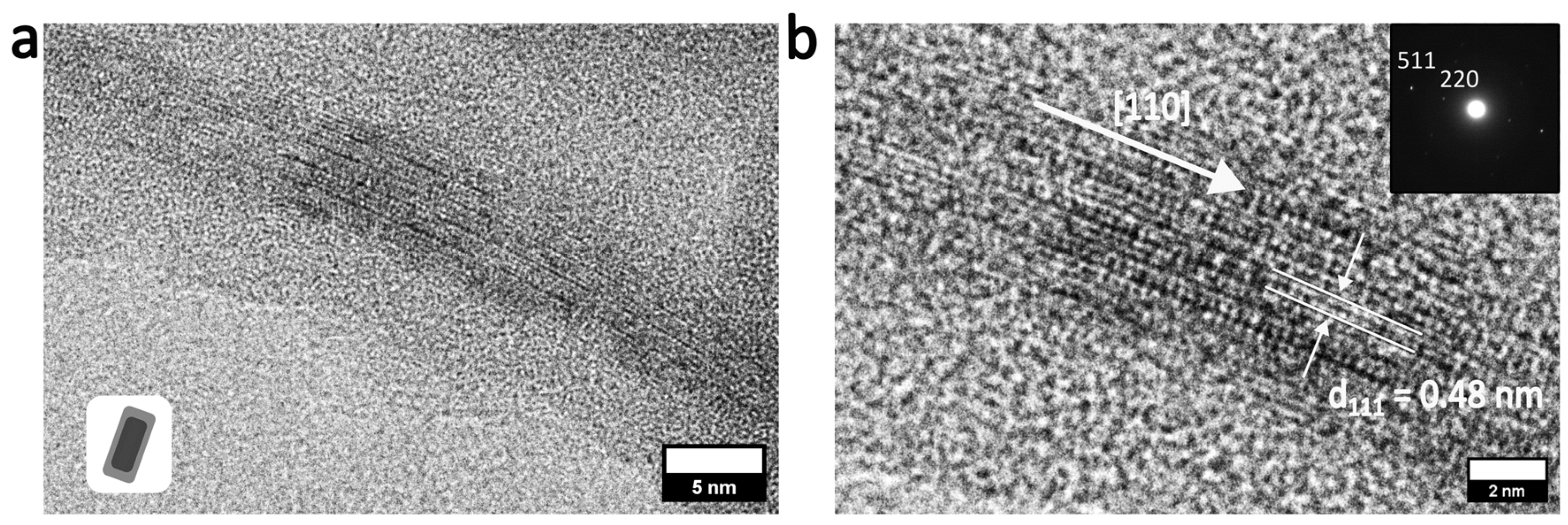 Nanomaterials 16 00219 g005