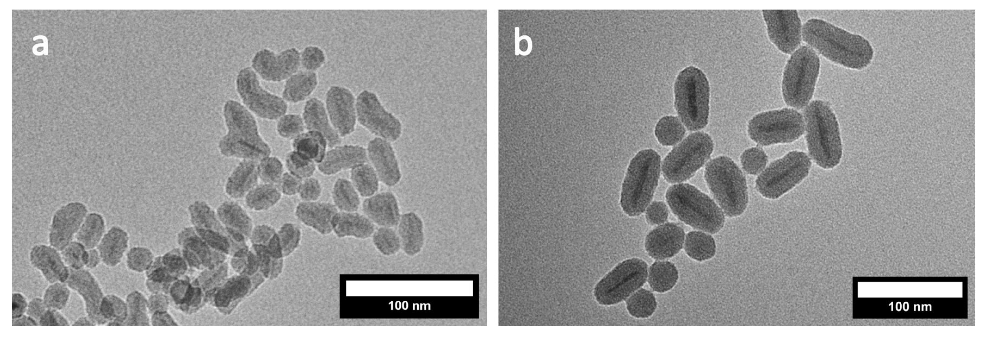 Nanomaterials 16 00219 g006