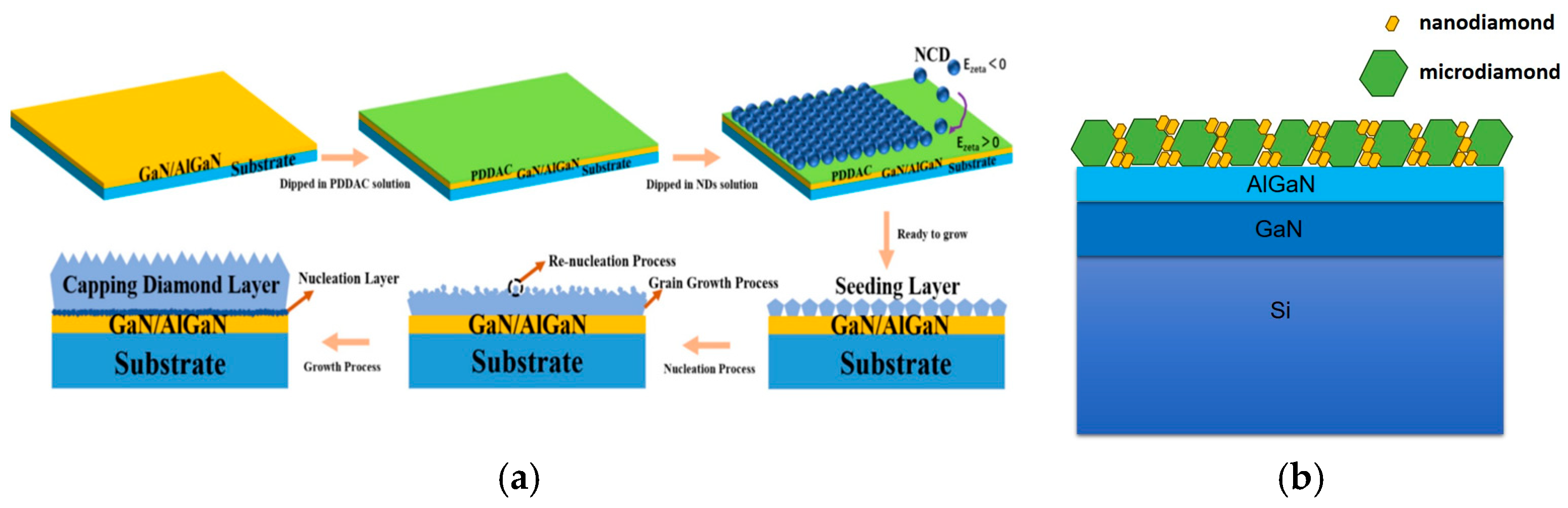 Nanomaterials 16 00224 g001