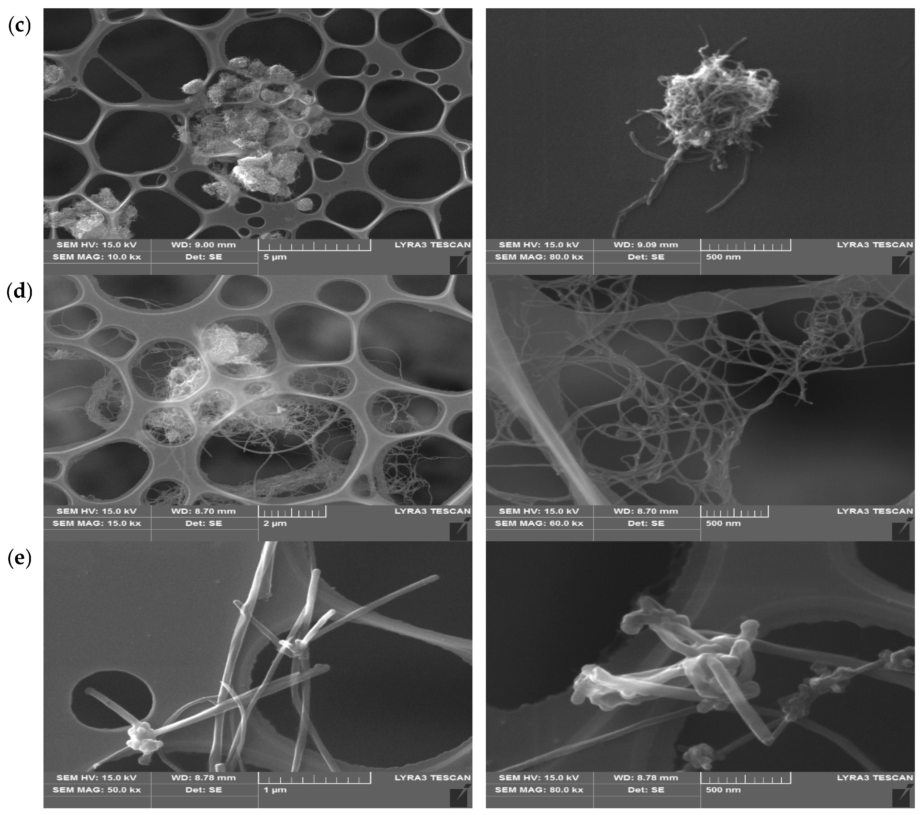 Nanomaterials 16 00273 g002b
