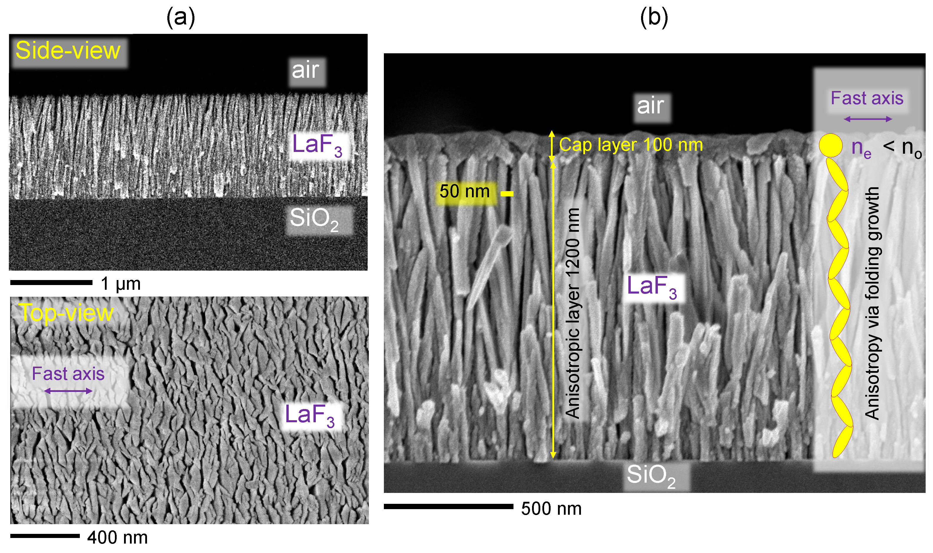 Nanomaterials 16 00296 g001 Nanomaterials 16 00296 g001