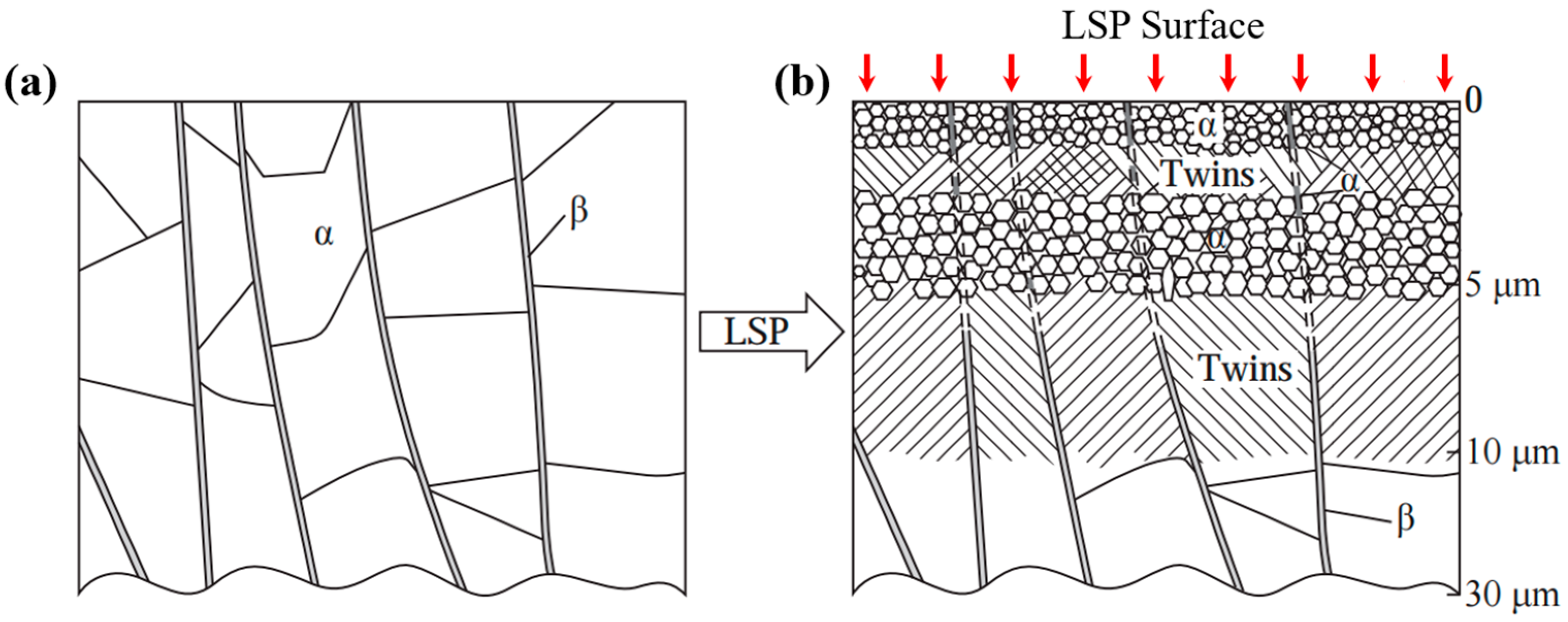 Nanomaterials 16 00321 g005 Nanomaterials 16 00321 g005