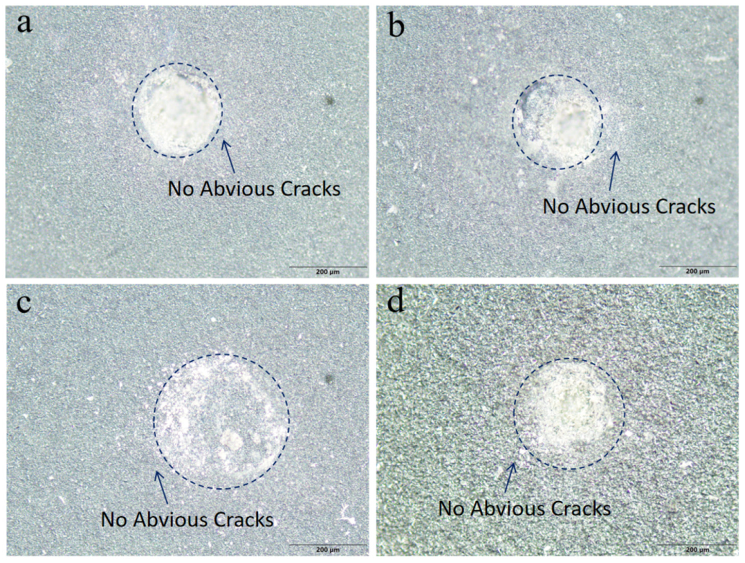 Nanomaterials 16 00332 g006